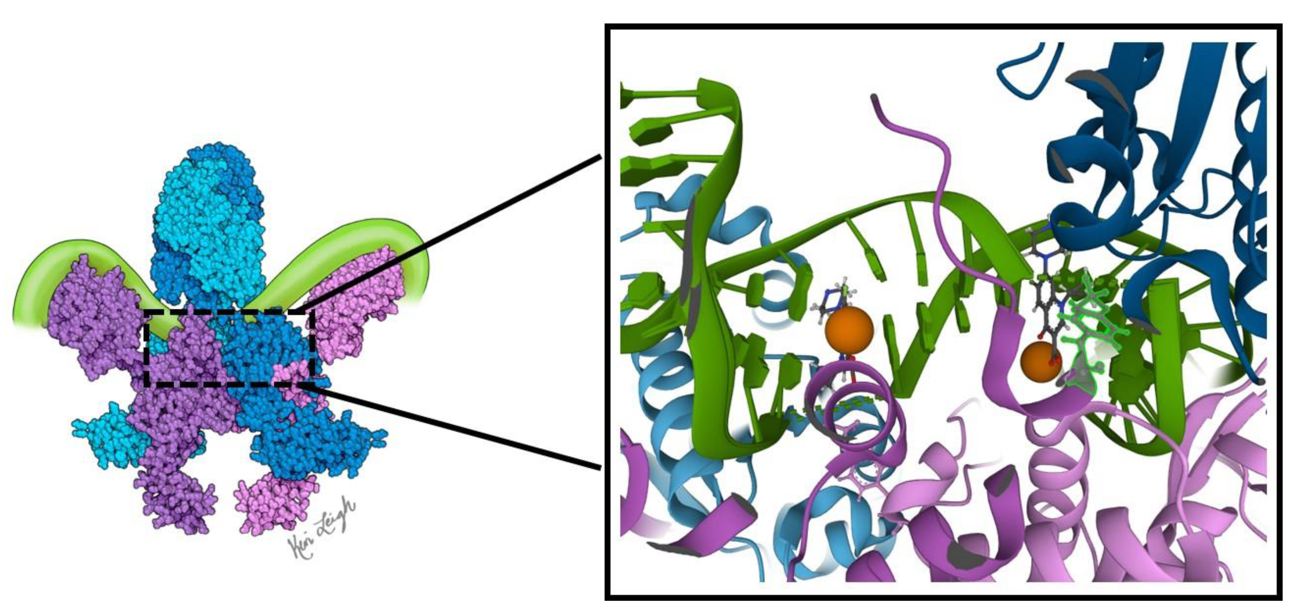 Biomedicines 11 00371 g003 Biomedicines 11 00371 g003