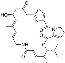 Biomedicines 11 00371 i010 Biomedicines 11 00371 i010