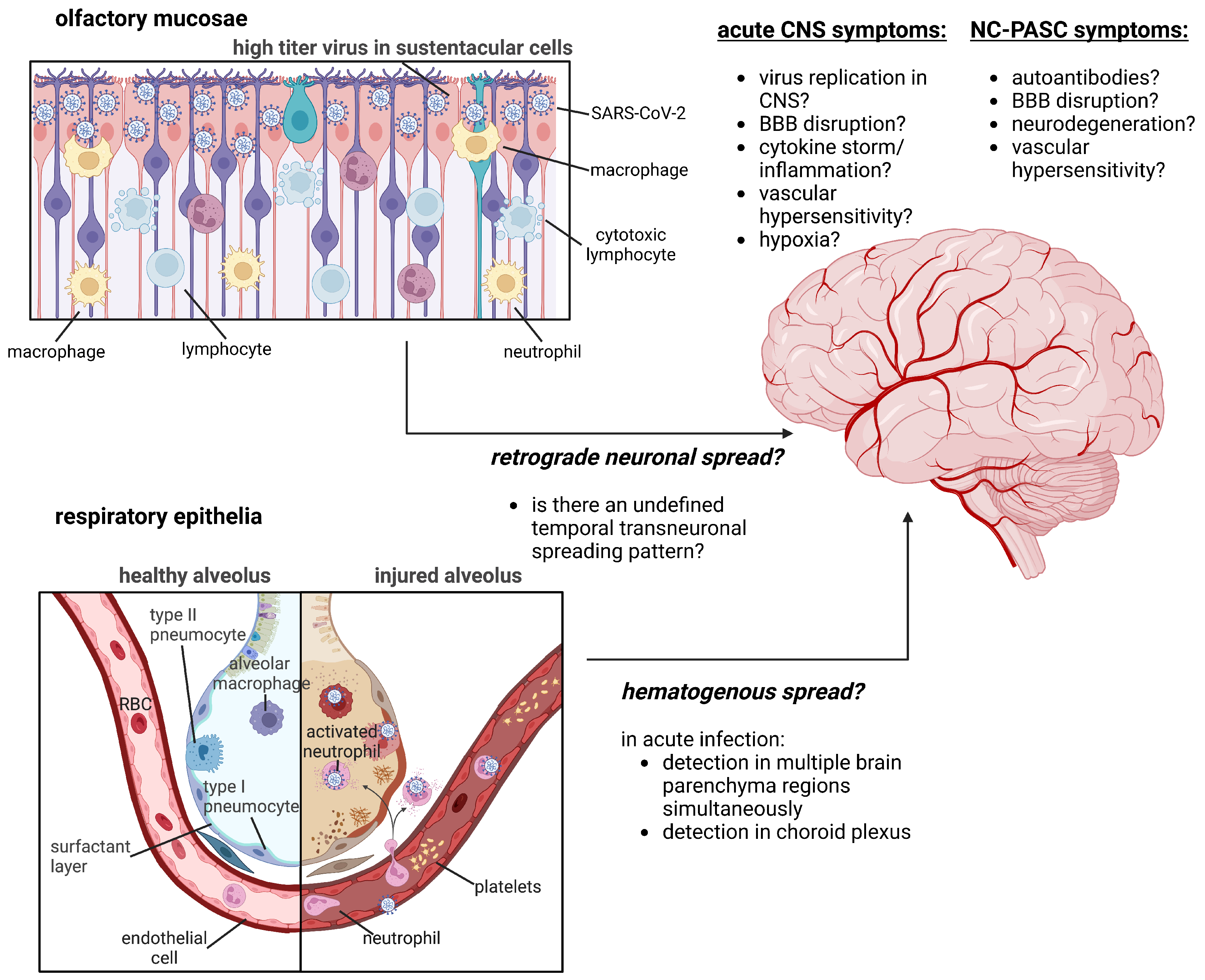 Biomedicines 11 00377 g001