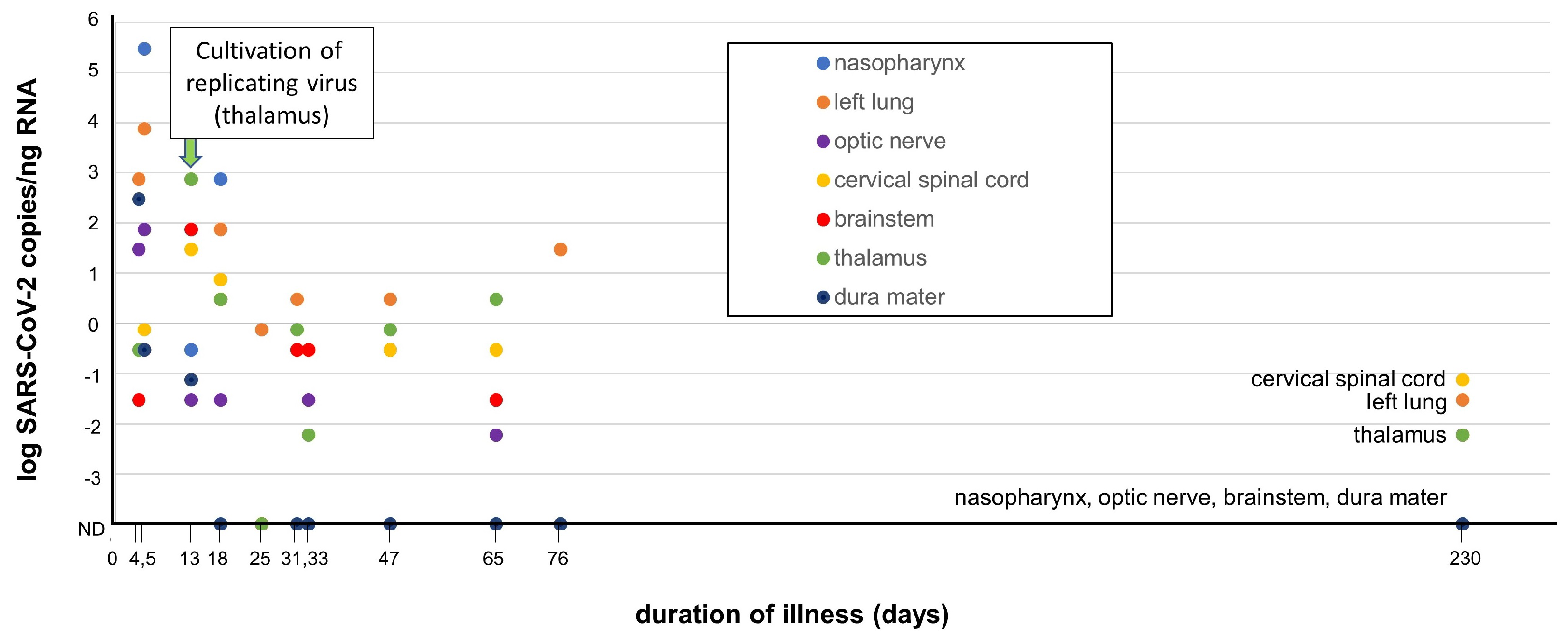 Biomedicines 11 00377 g002