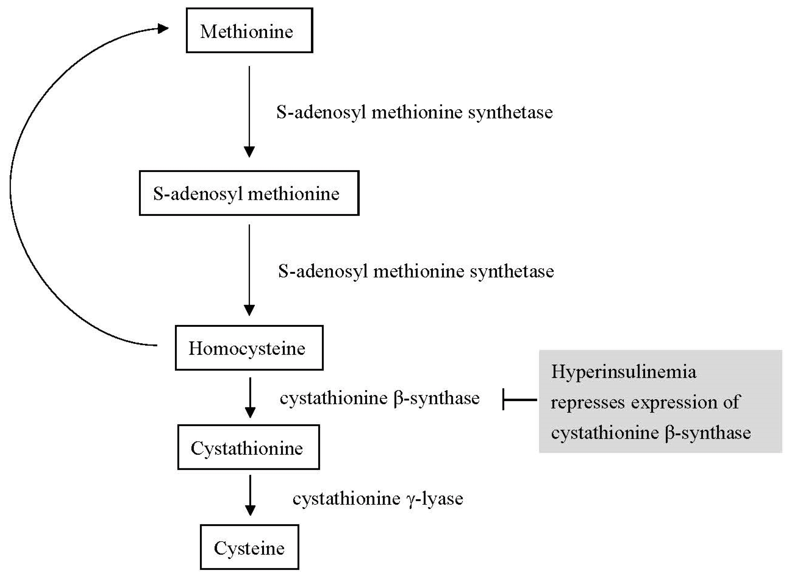 Biomedicines 11 00378 g006