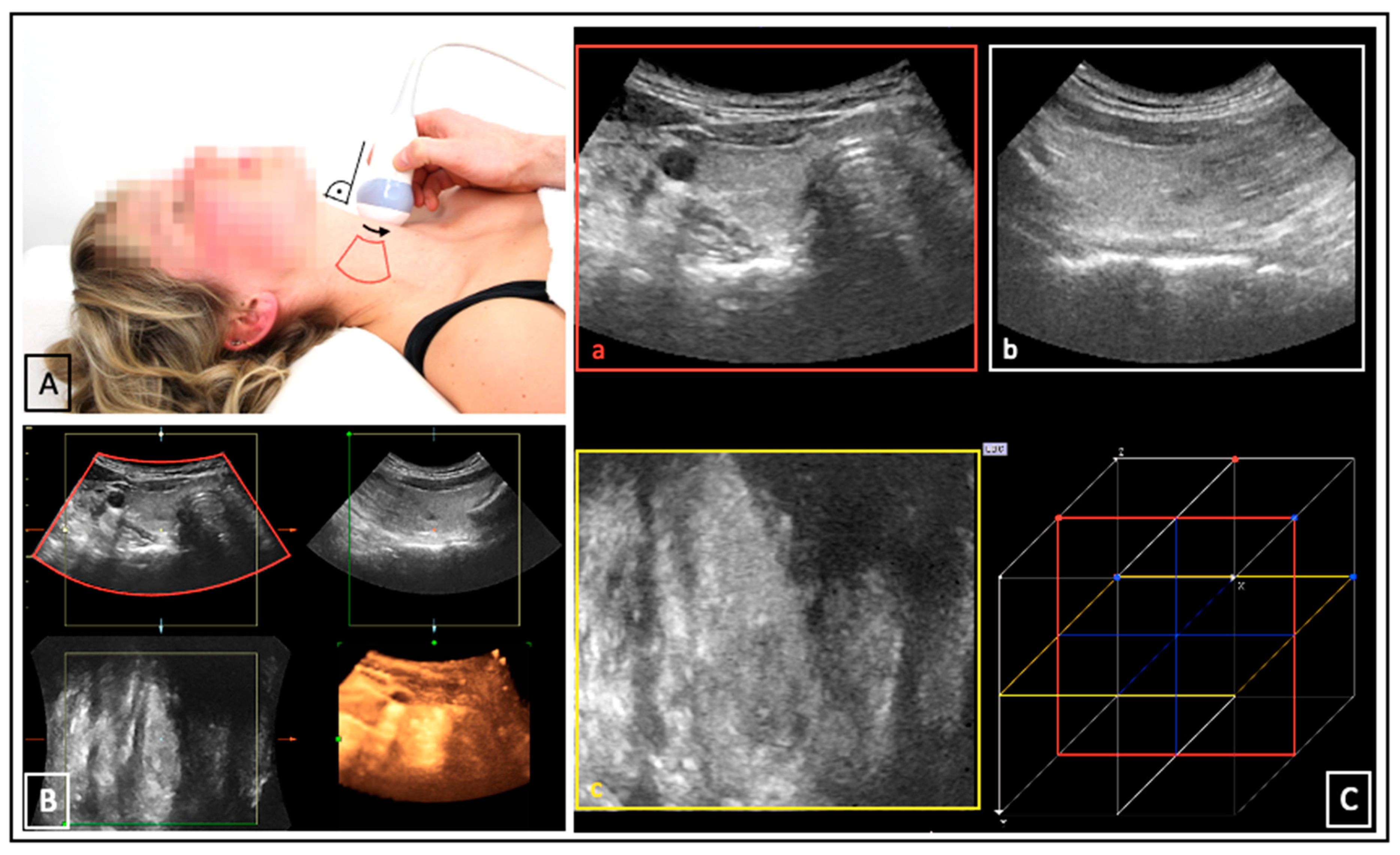 Biomedicines 11 00381 g002 Biomedicines 11 00381 g002
