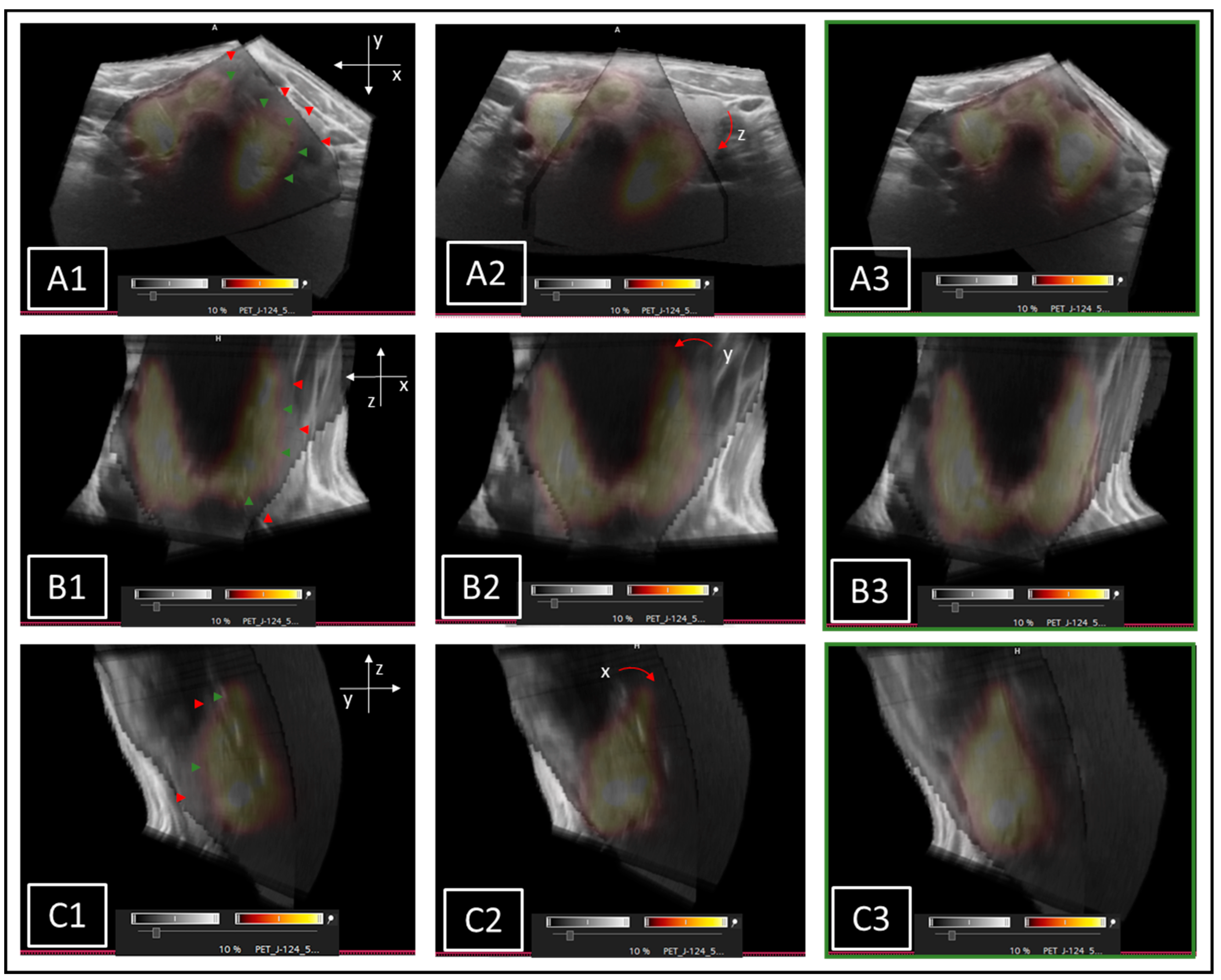 Biomedicines 11 00381 g003 Biomedicines 11 00381 g003