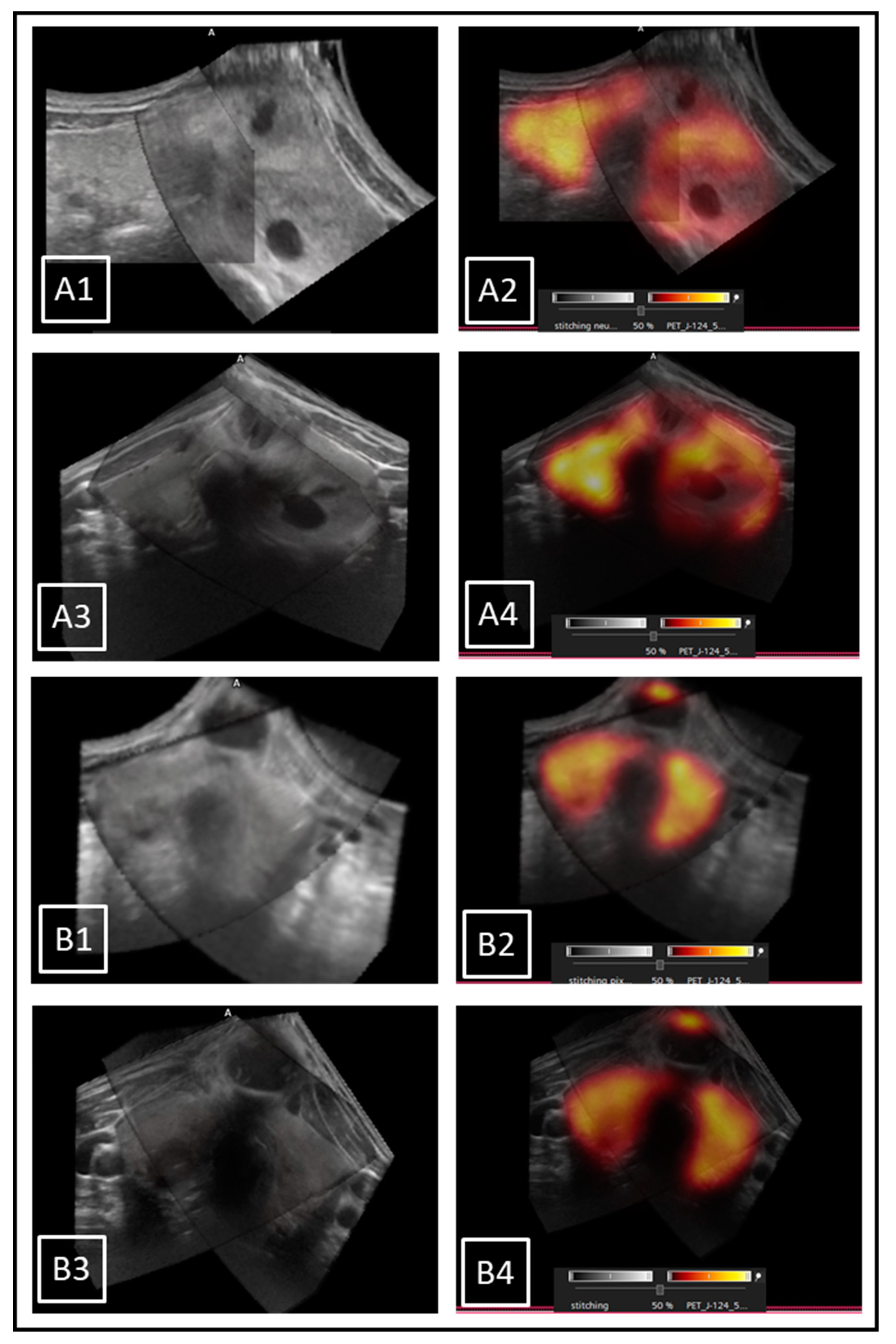 Biomedicines 11 00381 g006 Biomedicines 11 00381 g006