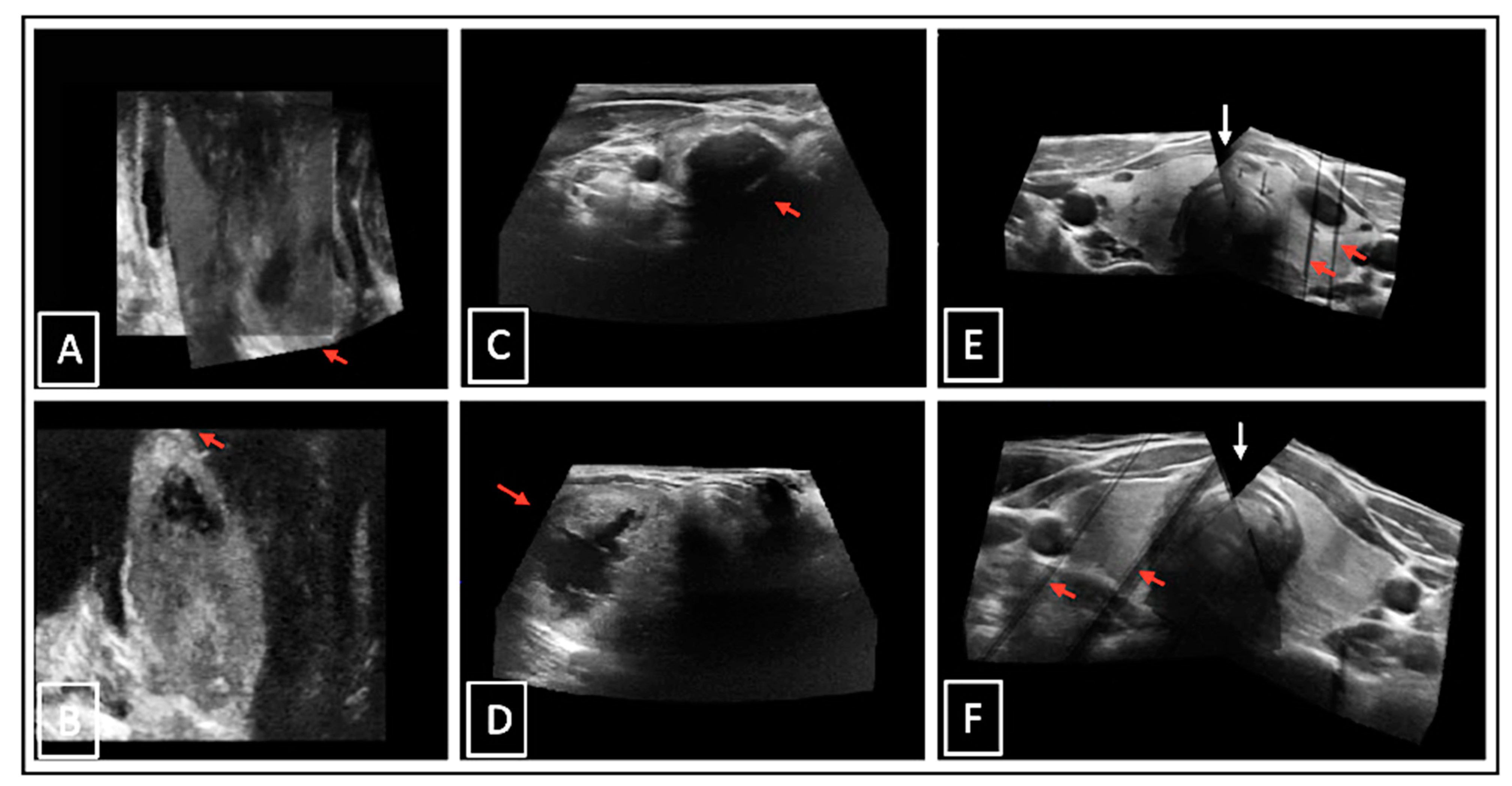 Biomedicines 11 00381 g007 Biomedicines 11 00381 g007
