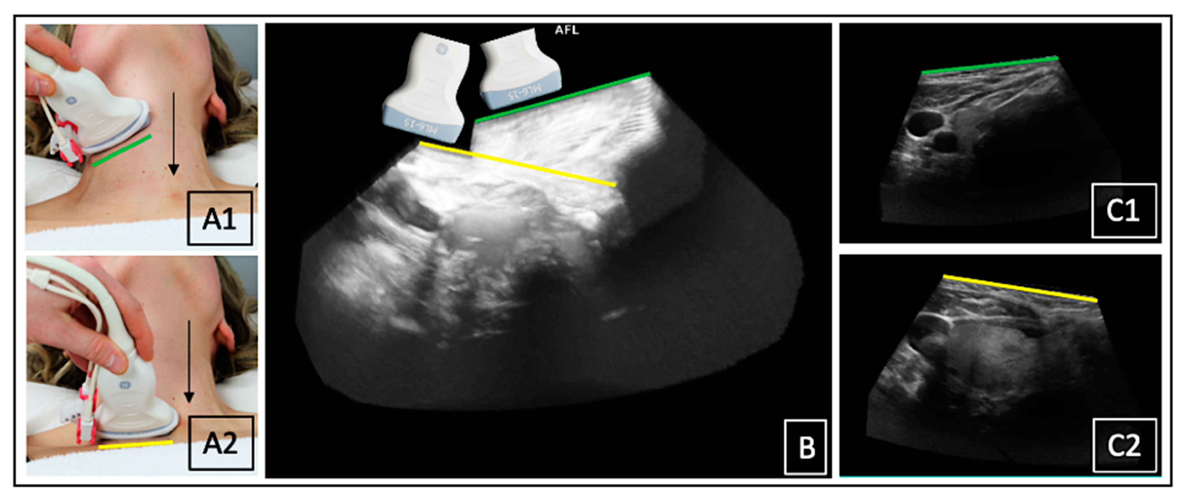 Biomedicines 11 00381 g008 Biomedicines 11 00381 g008