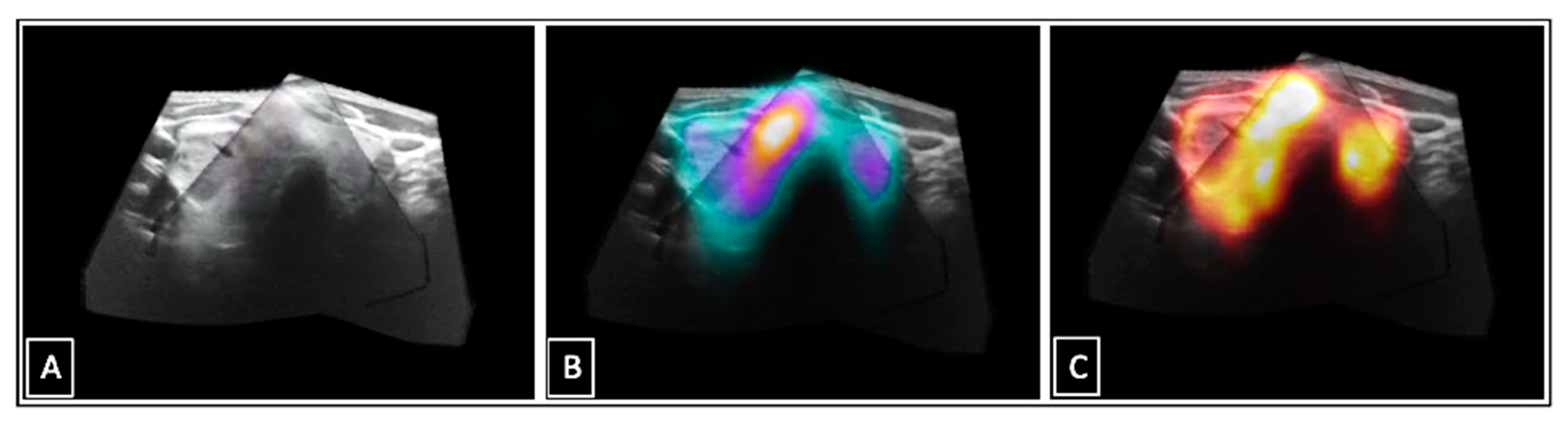 Biomedicines 11 00381 g009 Biomedicines 11 00381 g009