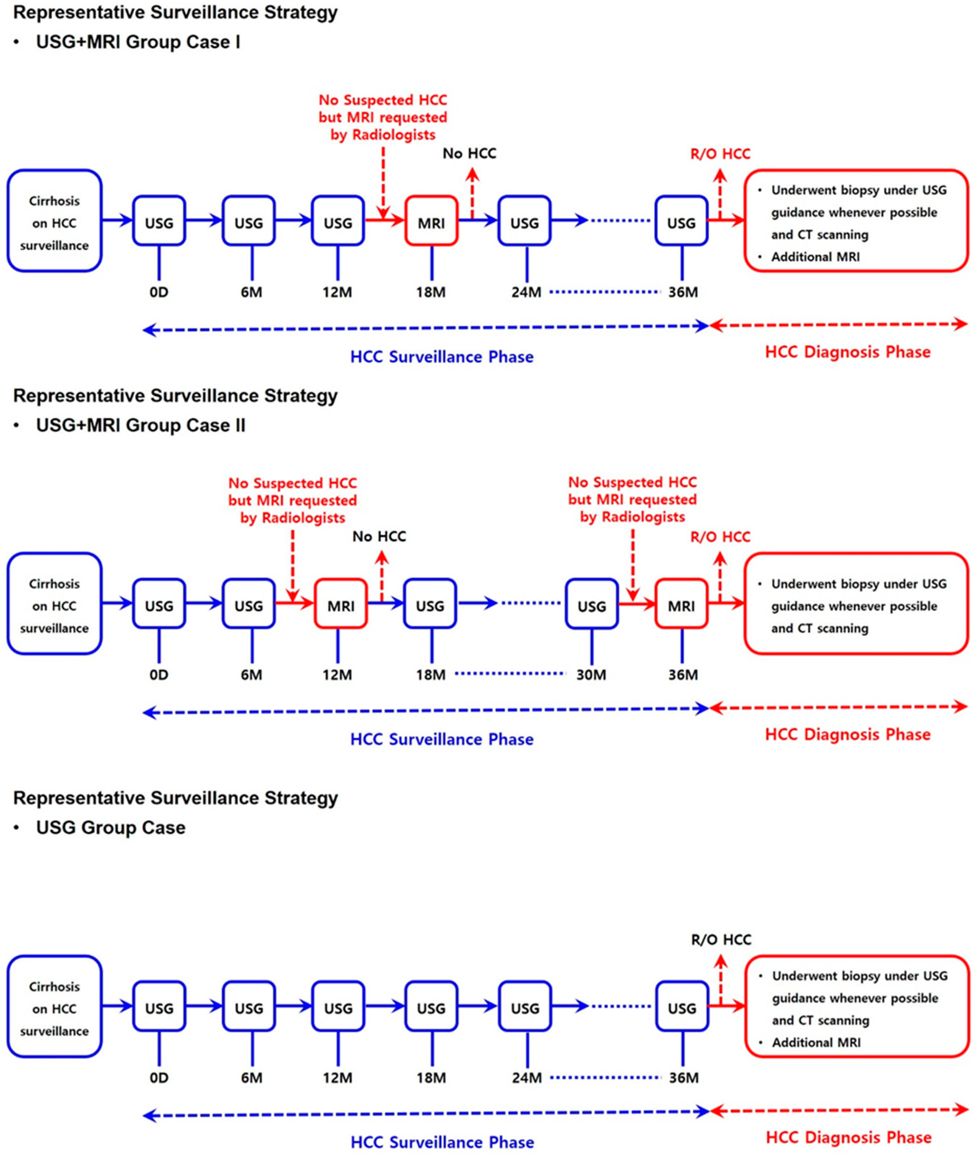 Biomedicines 11 00382 g001
