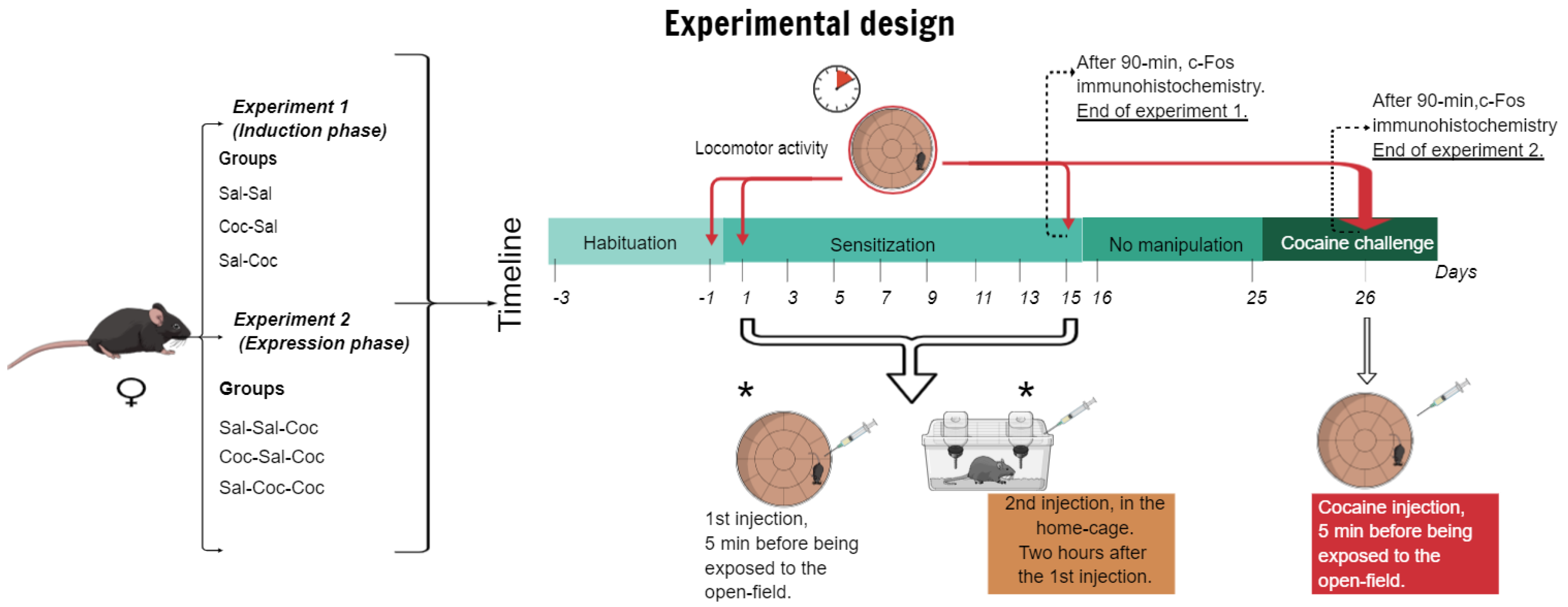 Biomedicines 11 00383 g001 Biomedicines 11 00383 g001