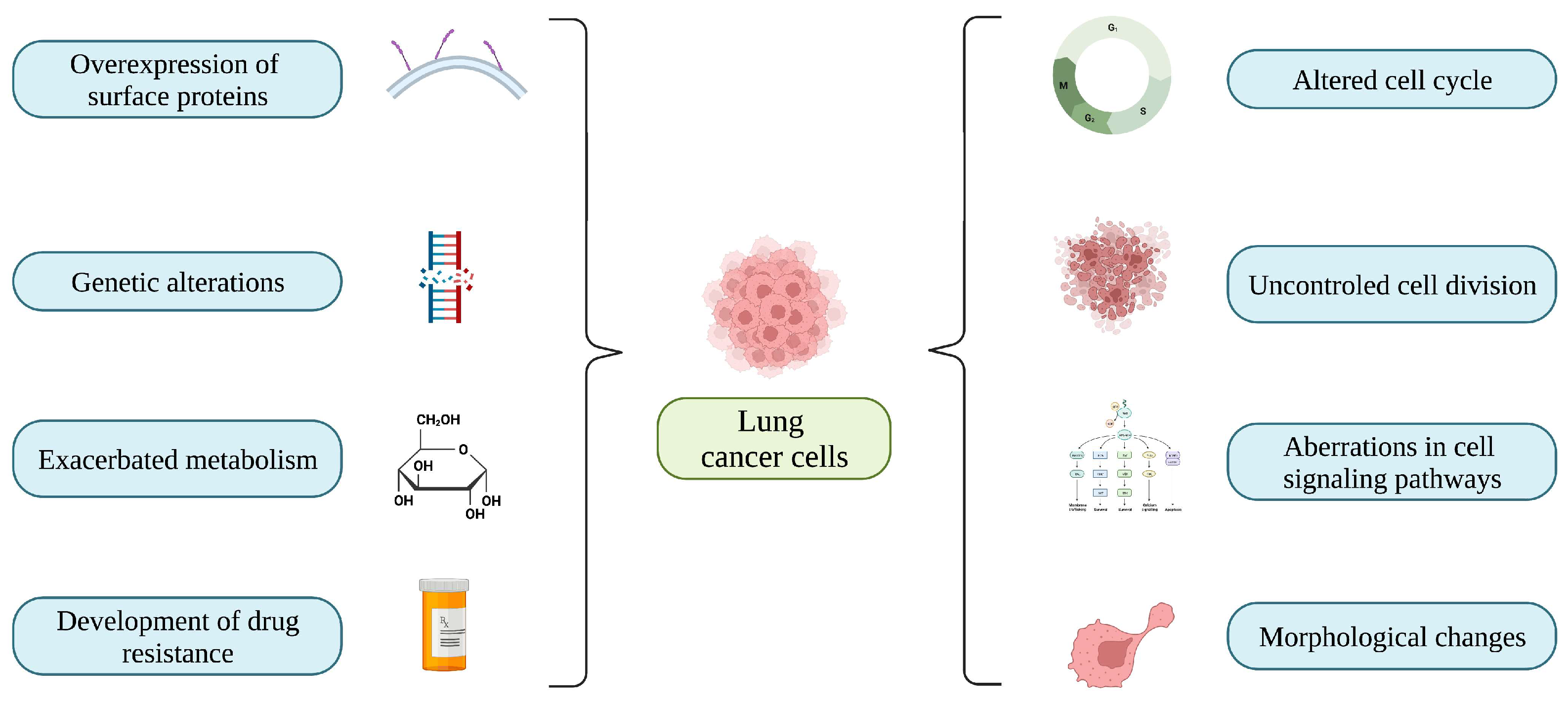 Biomedicines 11 00389 g001 Biomedicines 11 00389 g001