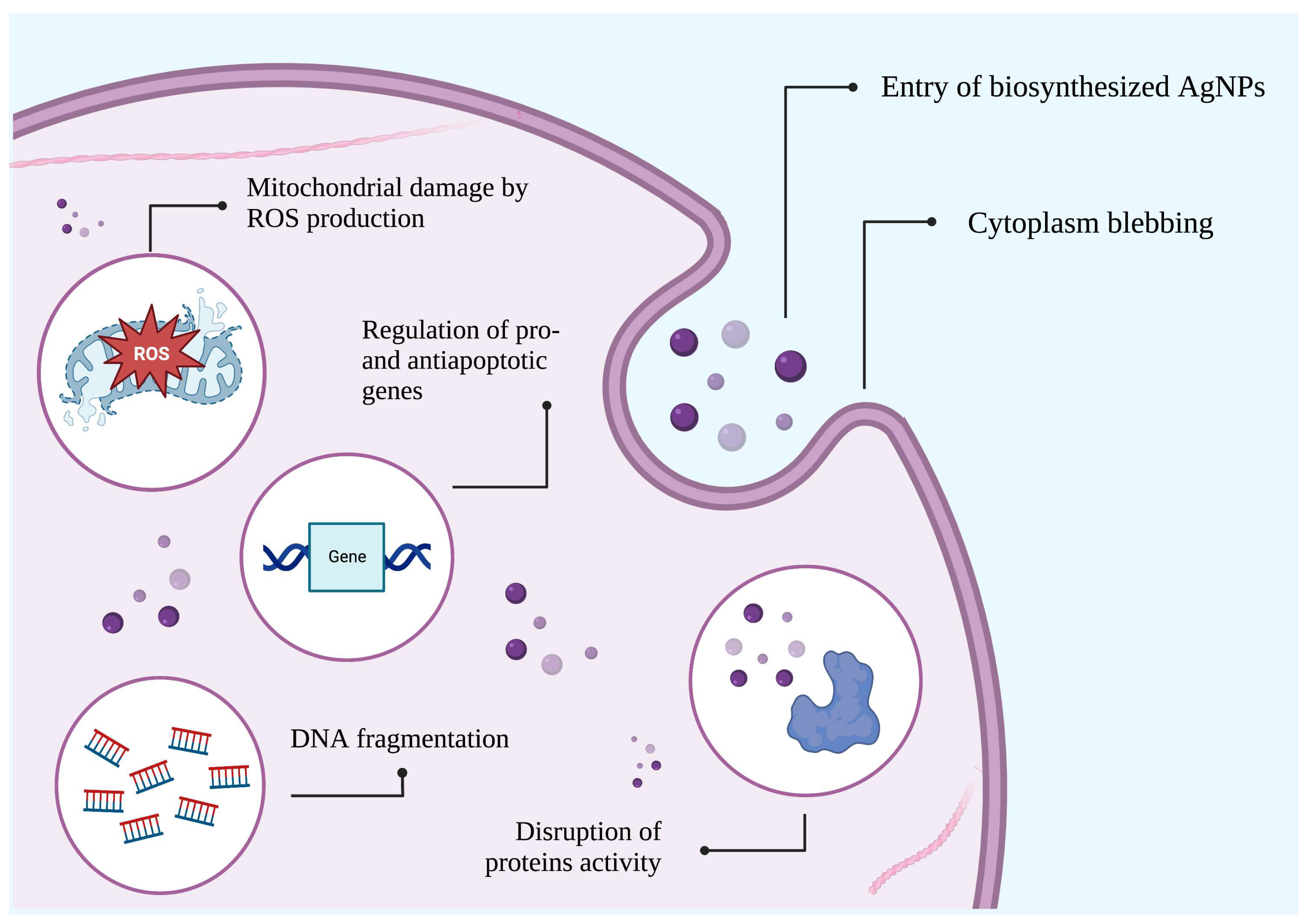 Biomedicines 11 00389 g005 Biomedicines 11 00389 g005