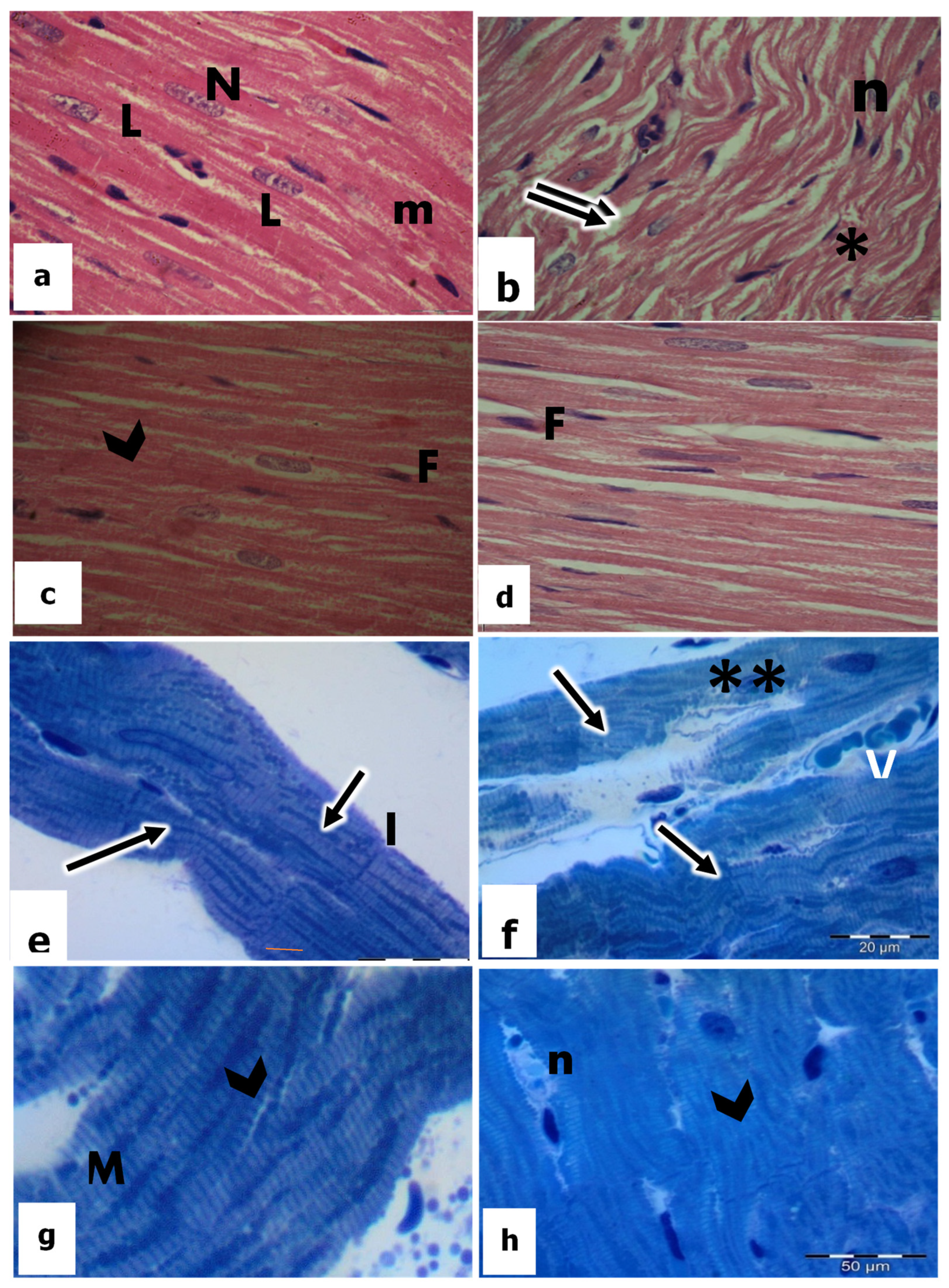 Biomedicines 11 00390 g002