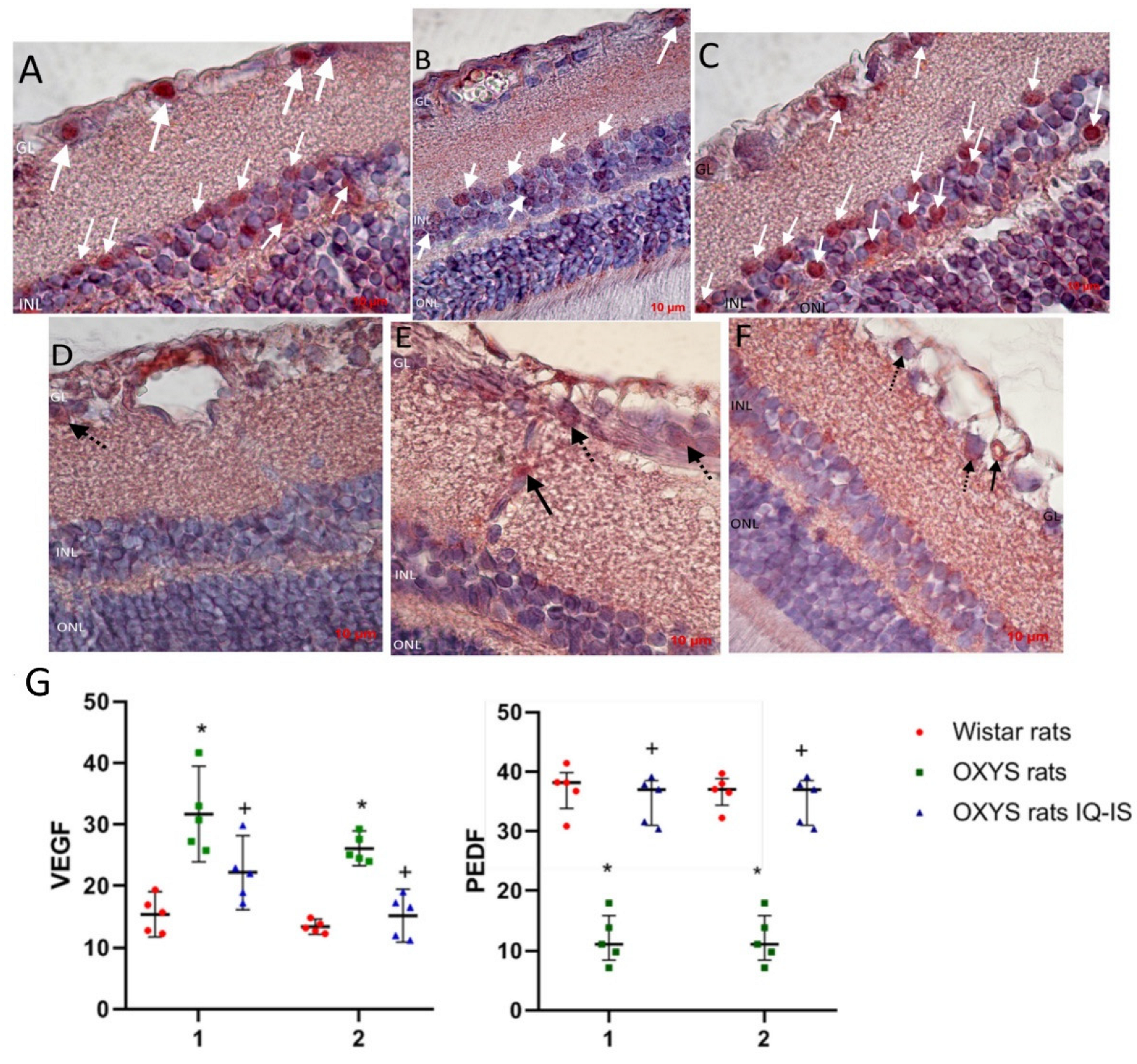 Biomedicines 11 00395 g006