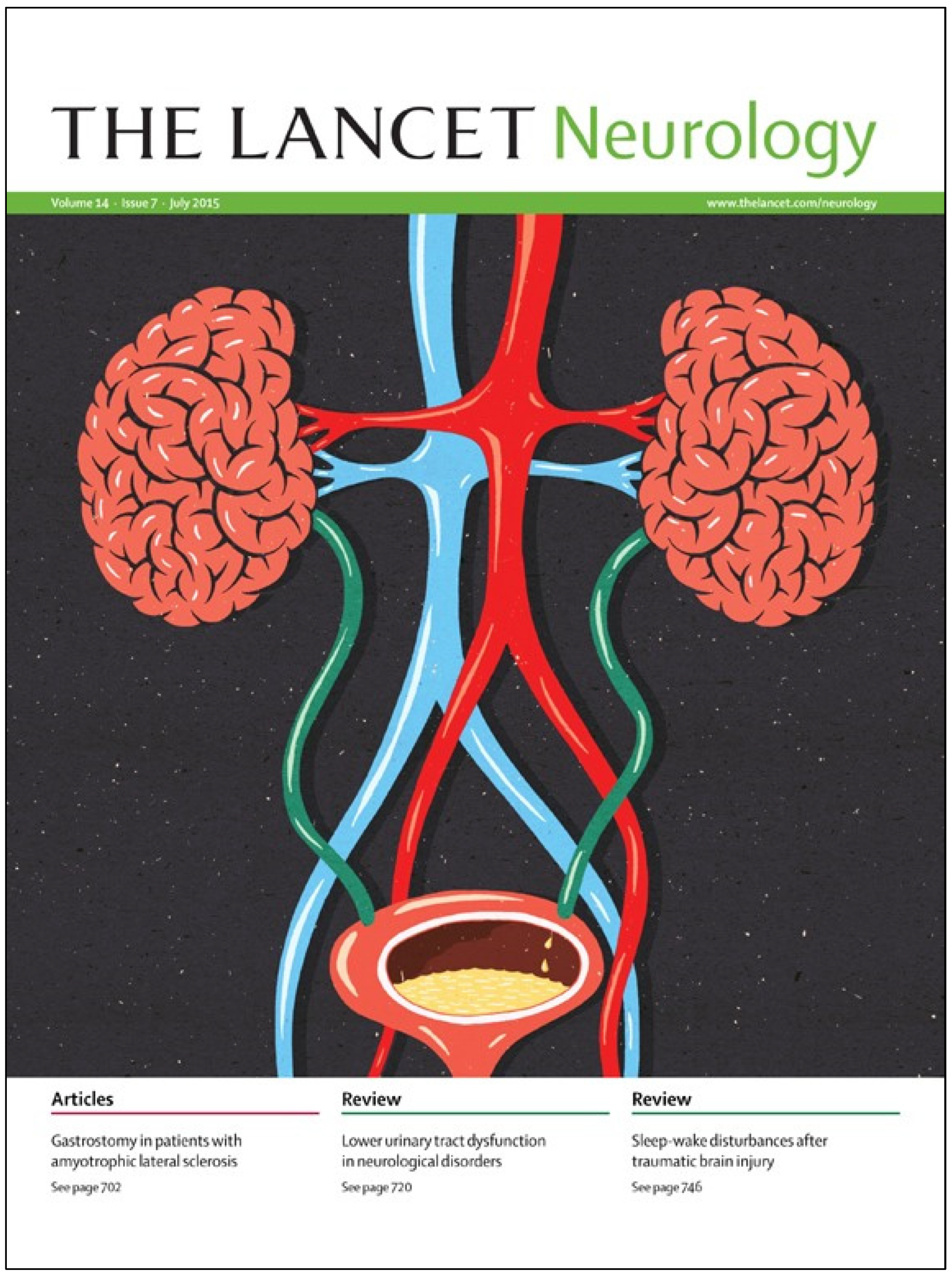 Biomedicines 11 00397 g001