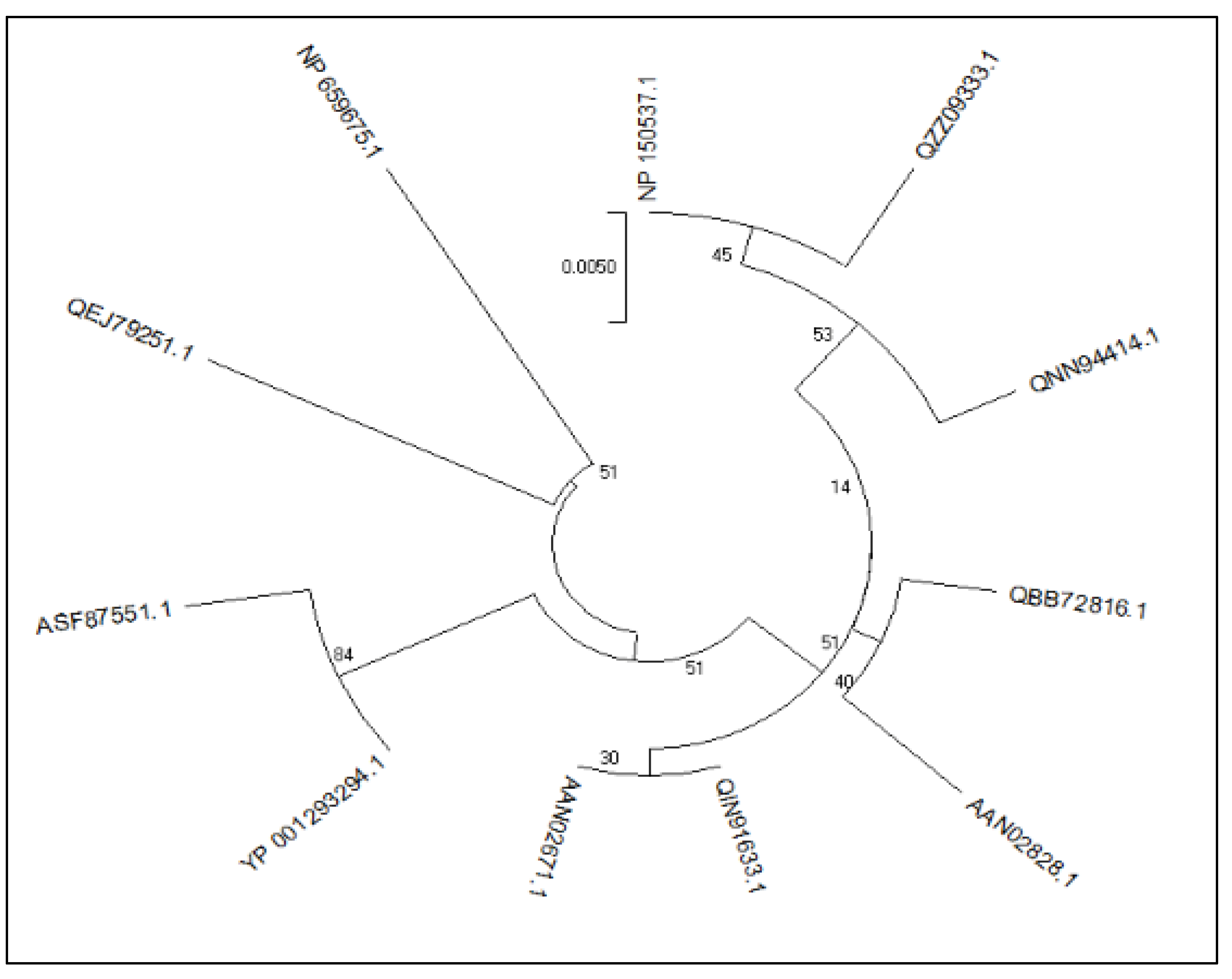 Biomedicines 11 00398 g002 Biomedicines 11 00398 g002