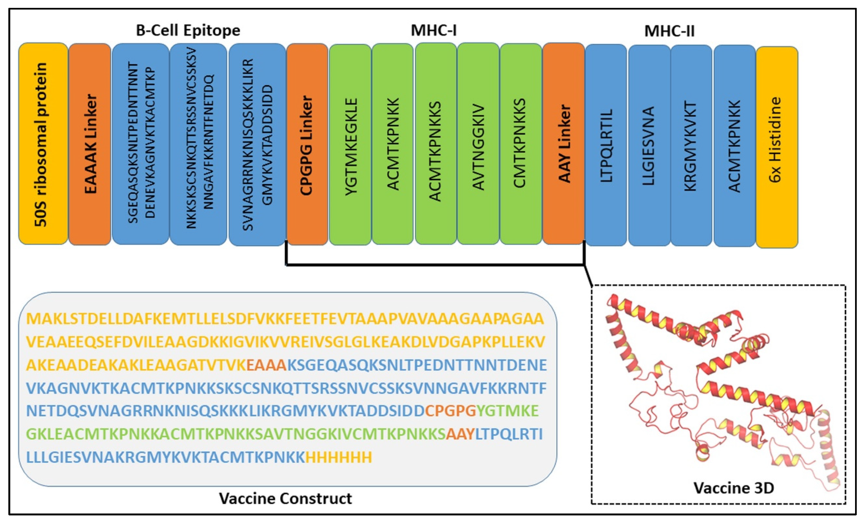 Biomedicines 11 00398 g006 Biomedicines 11 00398 g006