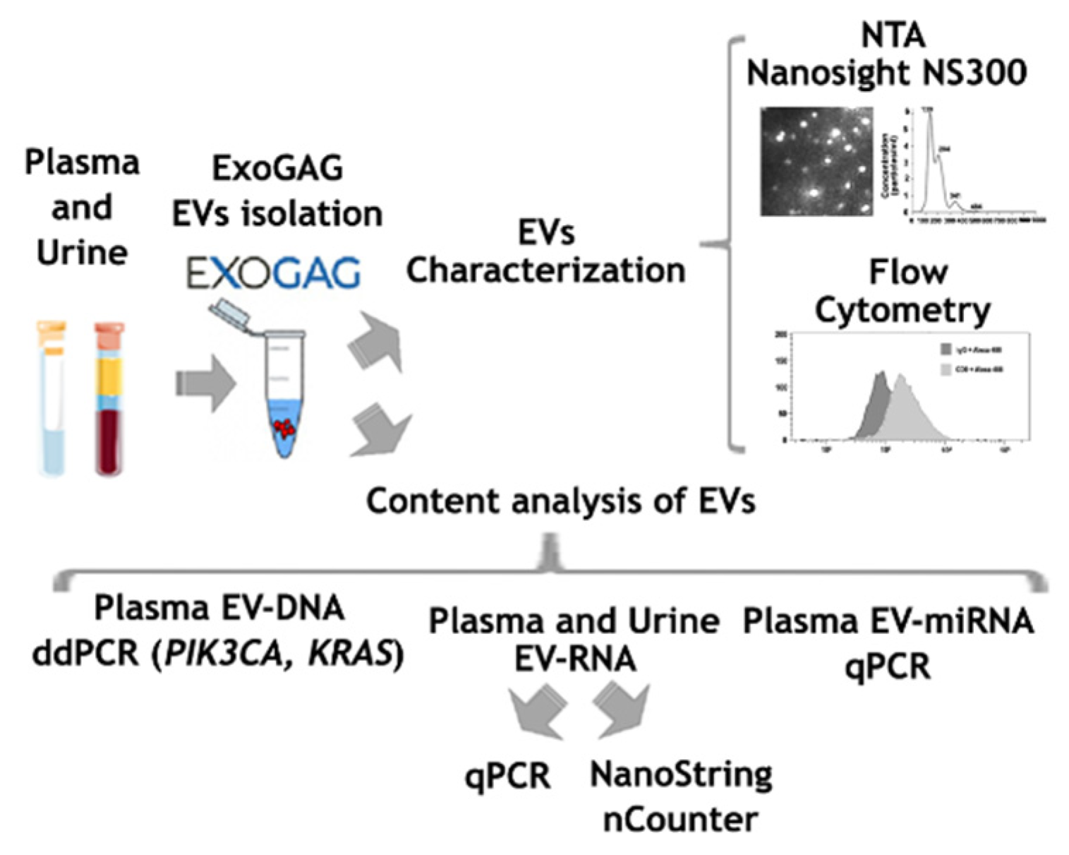 Biomedicines 11 00404 g001