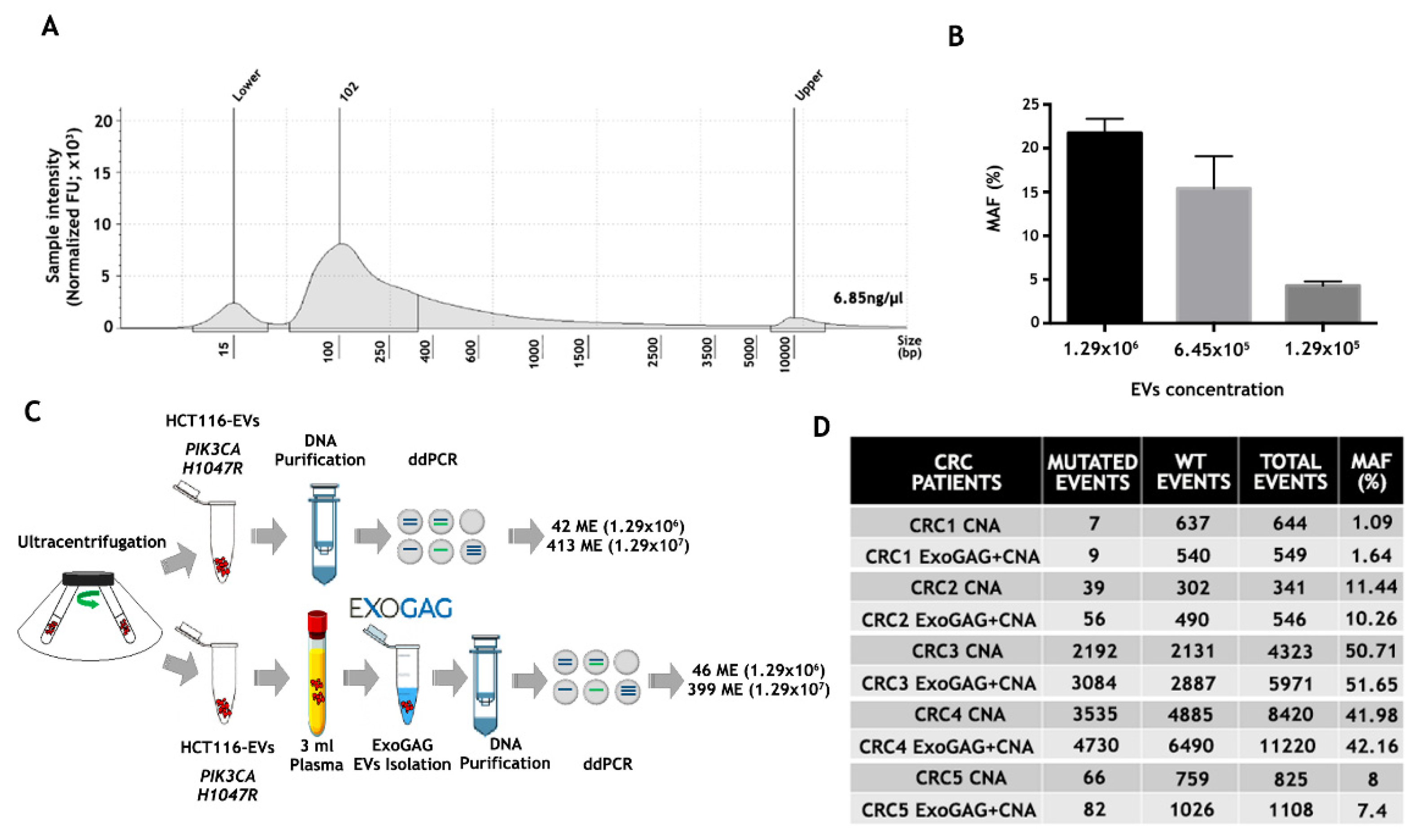 Biomedicines 11 00404 g003