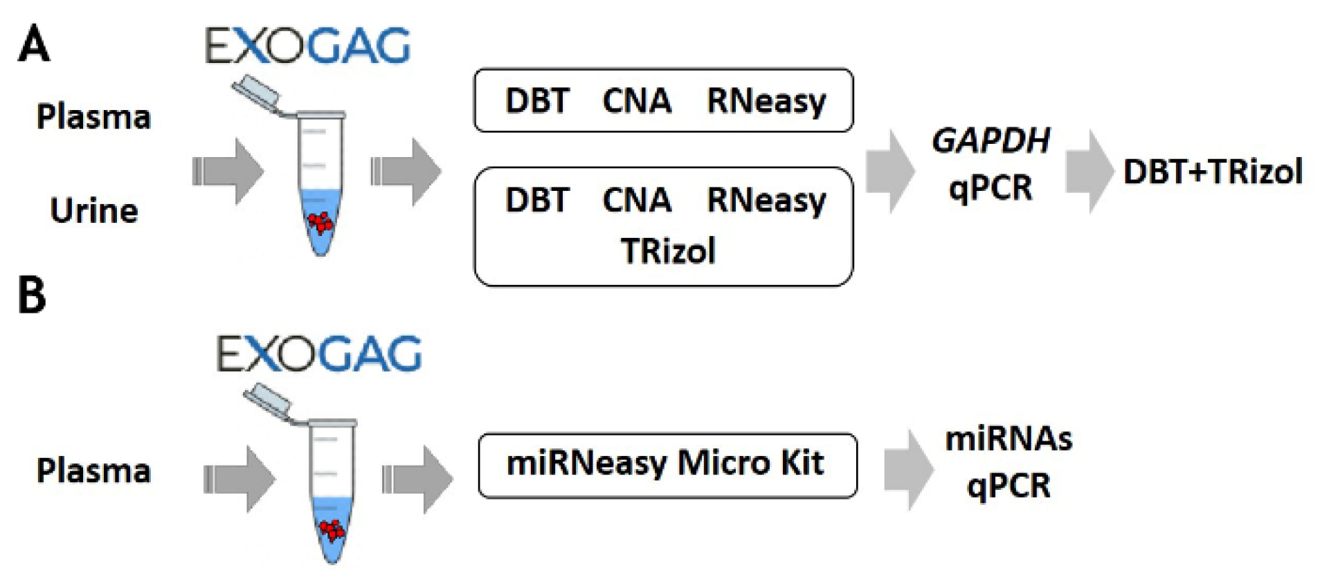 Biomedicines 11 00404 g004
