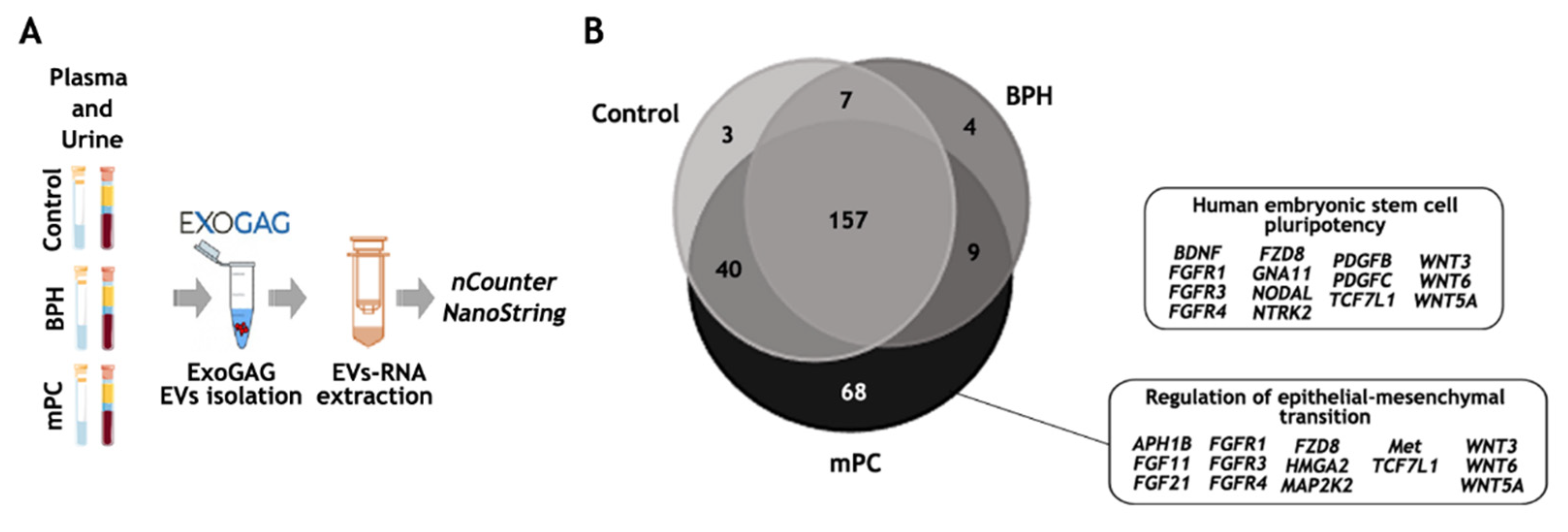Biomedicines 11 00404 g005