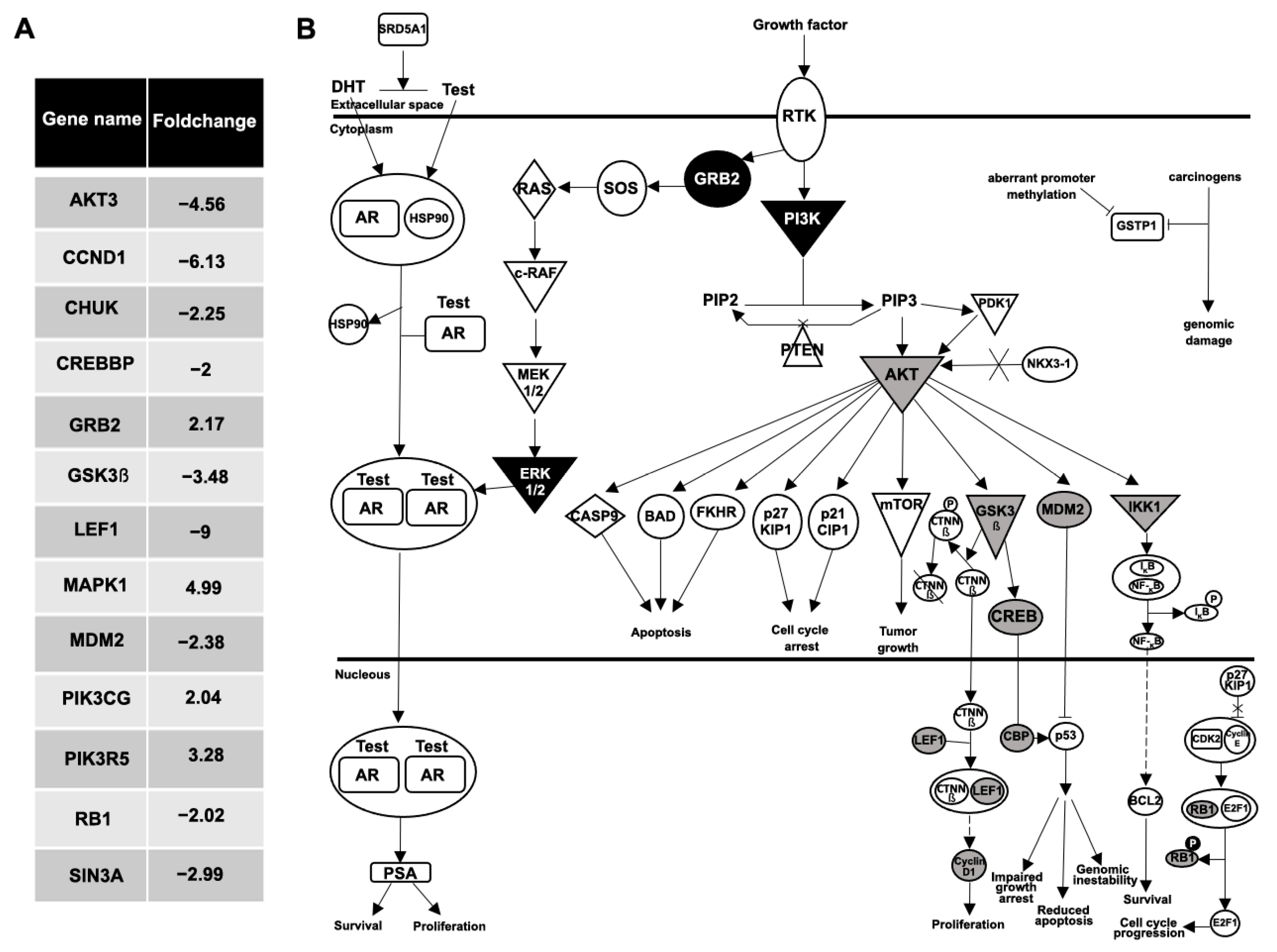 Biomedicines 11 00404 g006