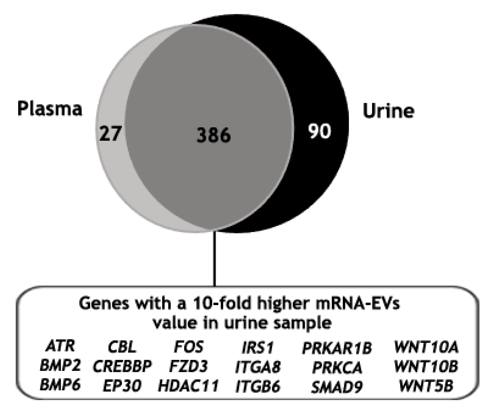 Biomedicines 11 00404 g007