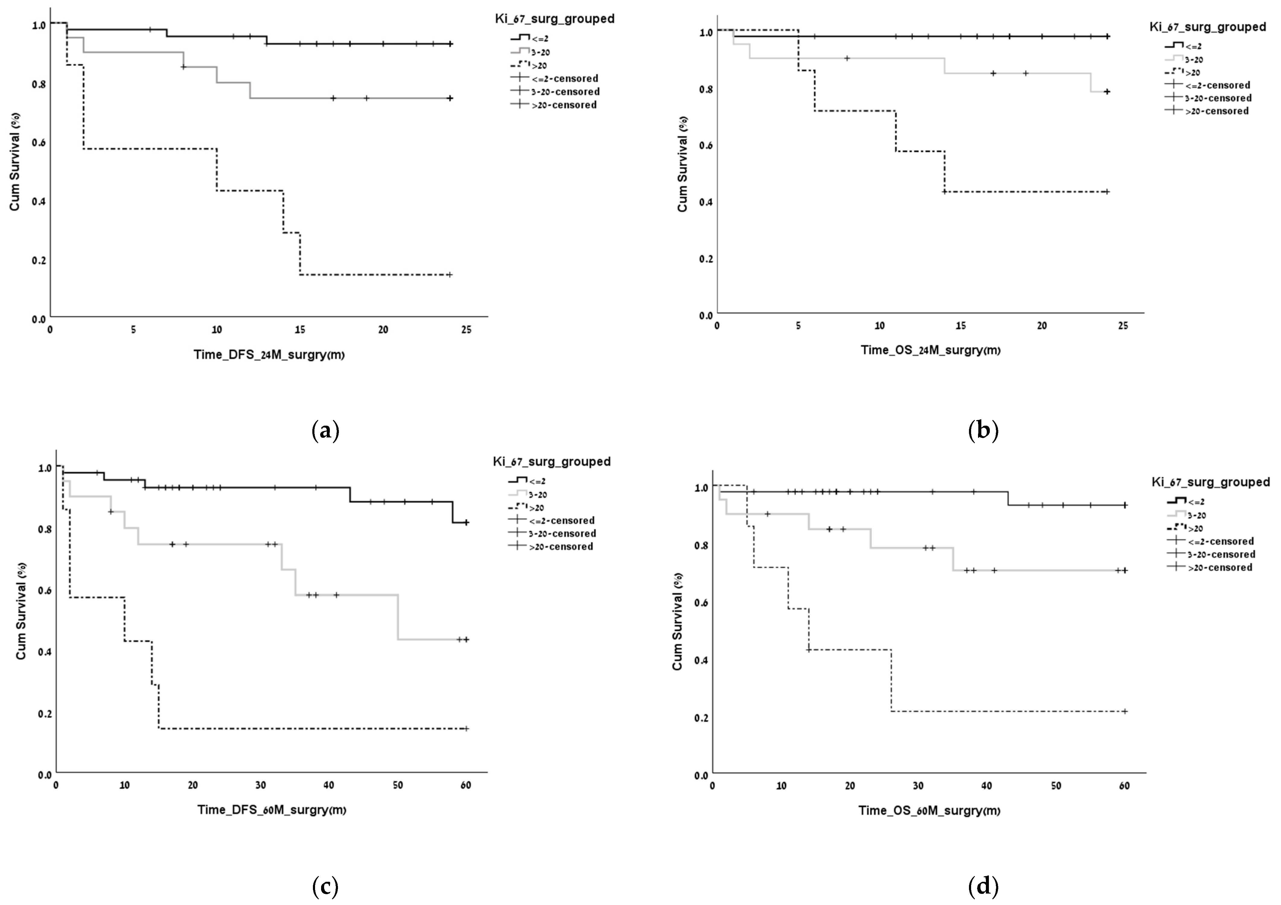 Biomedicines 11 00407 g002