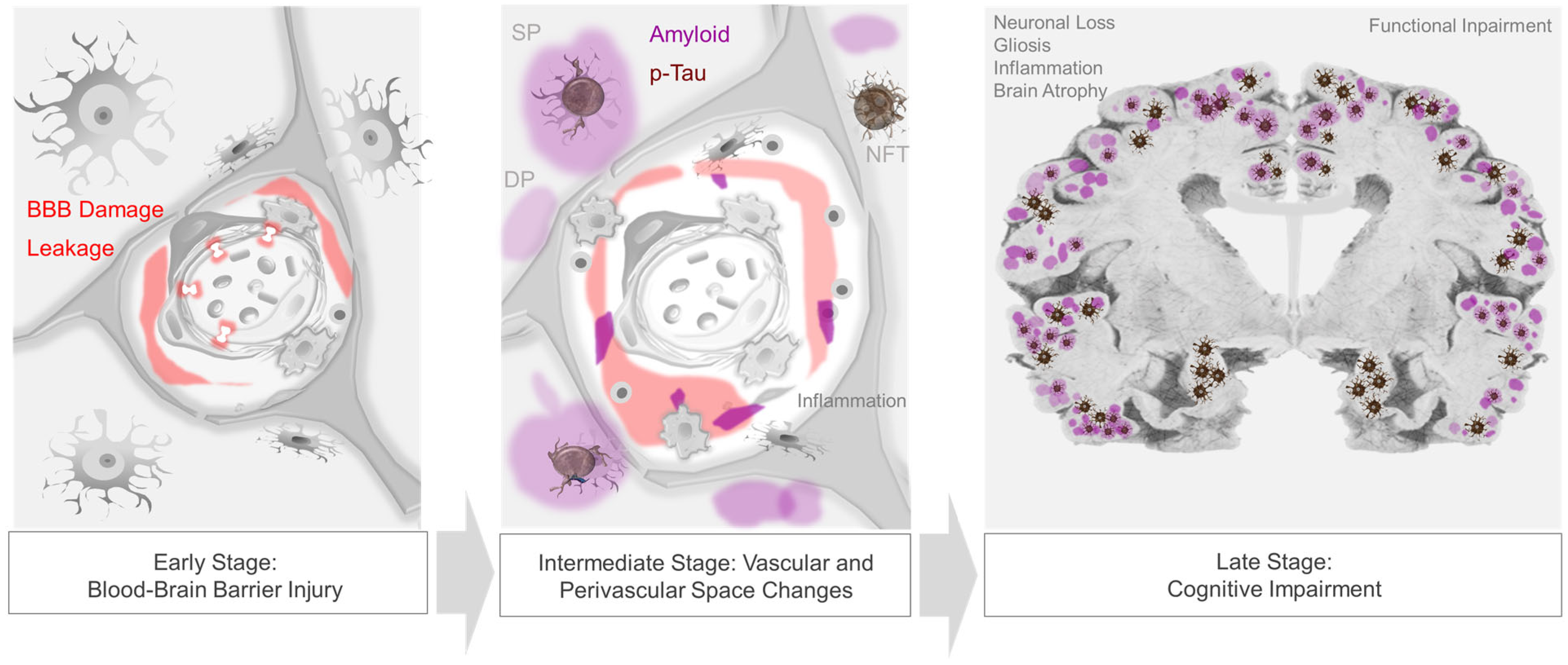 Biomedicines 11 00408 g002