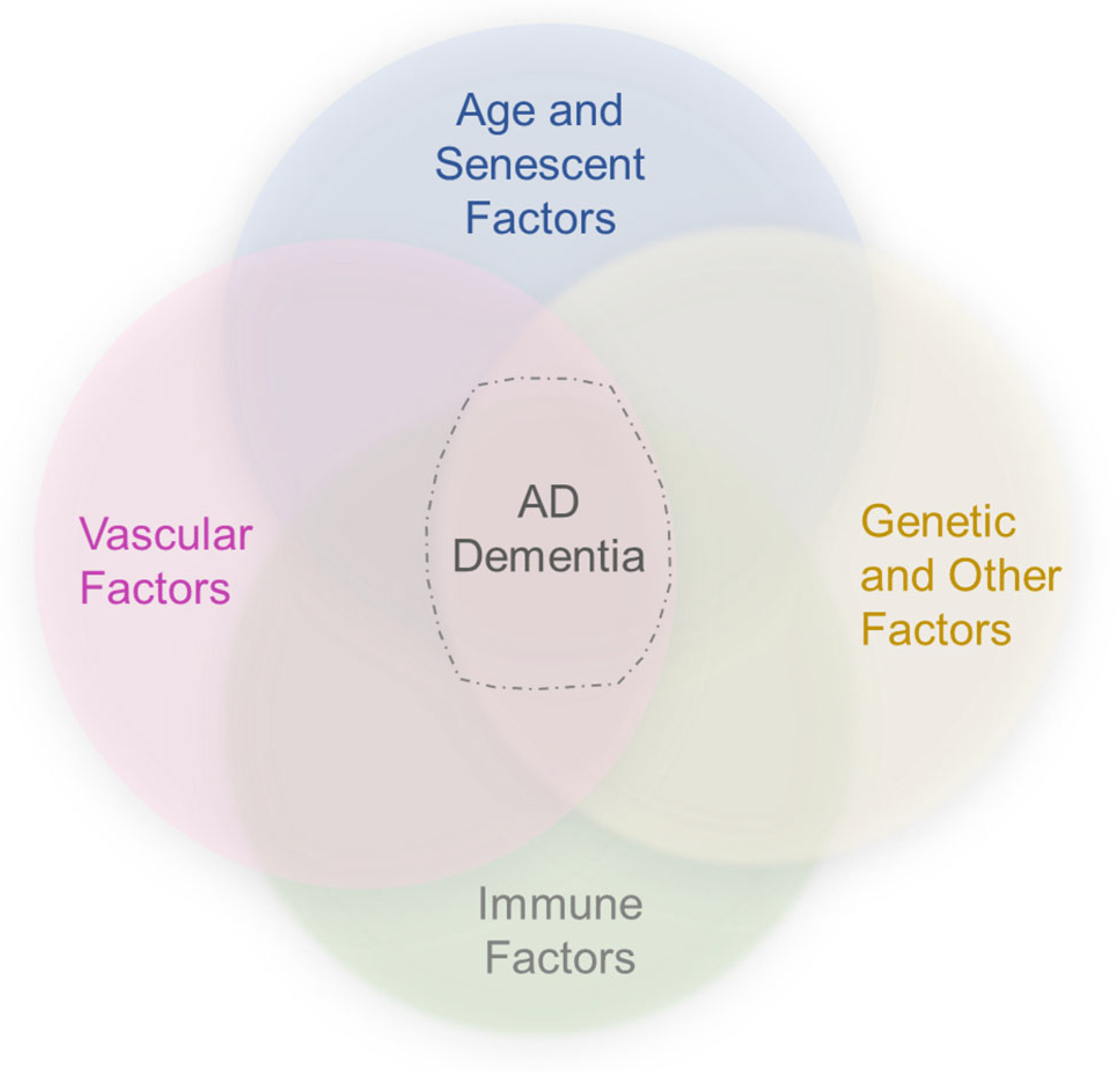 Biomedicines 11 00408 g003