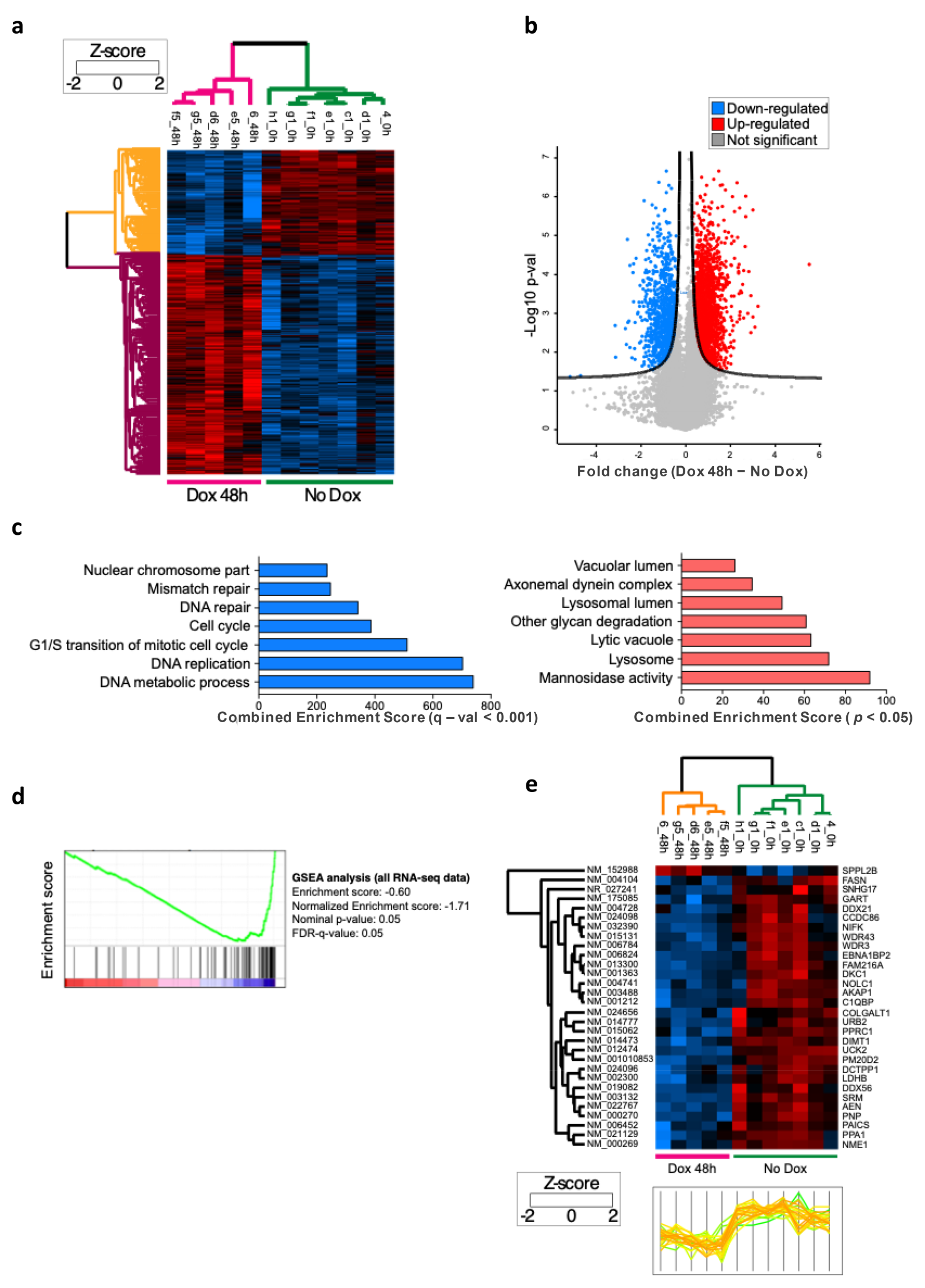 Biomedicines 11 00412 g004
