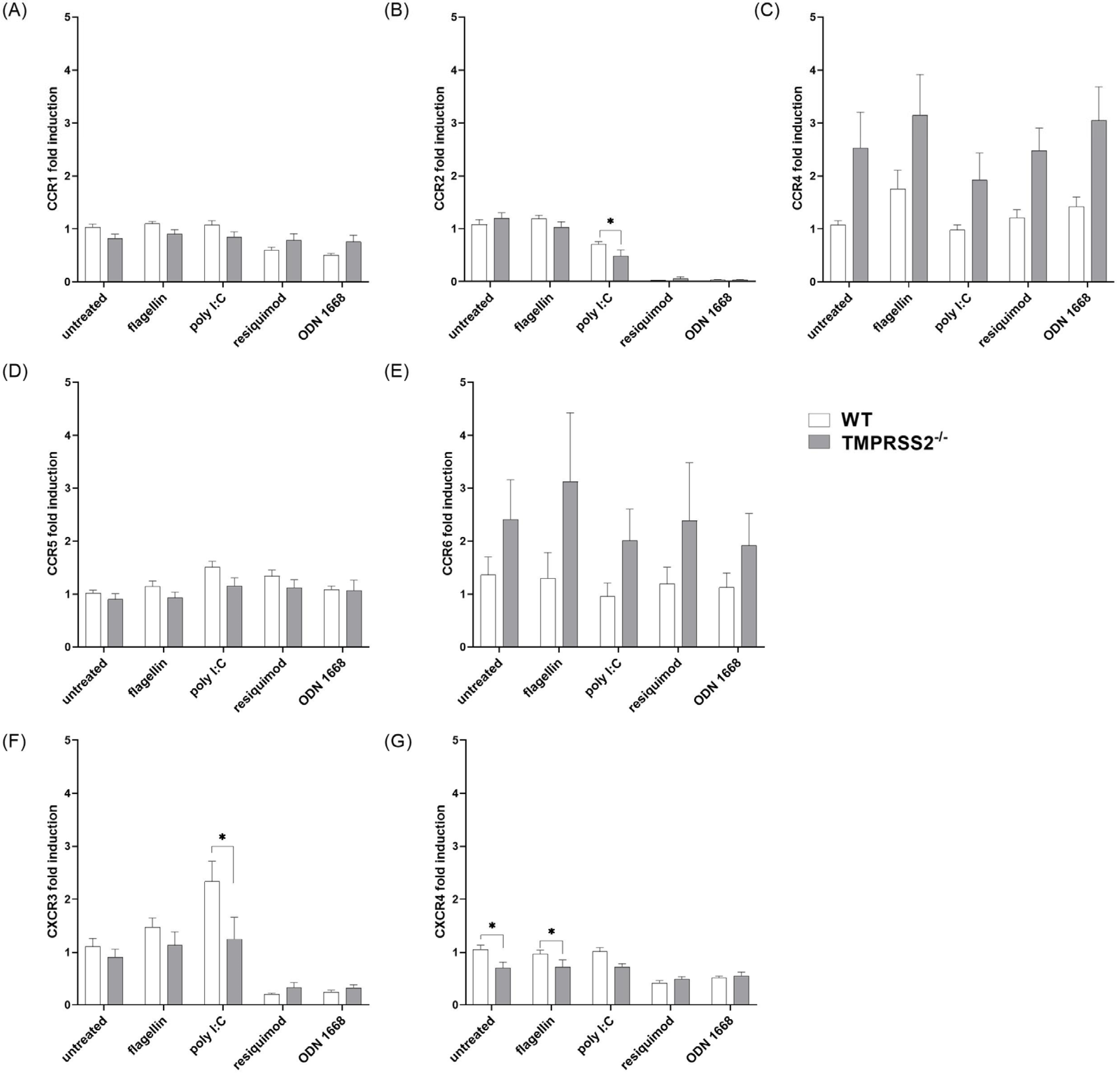 Biomedicines 11 00419 g003 Biomedicines 11 00419 g003