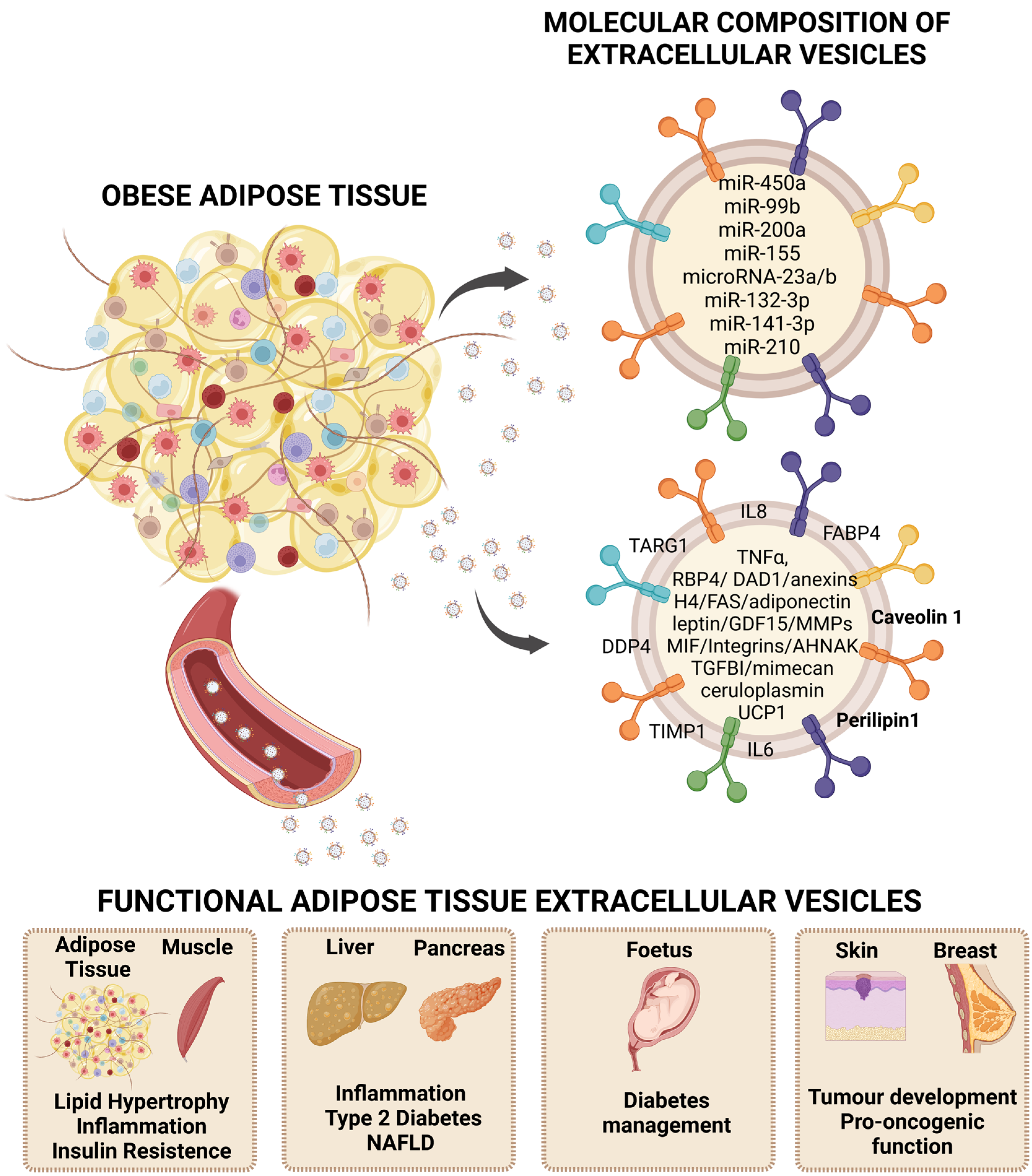 Biomedicines 11 00422 g001