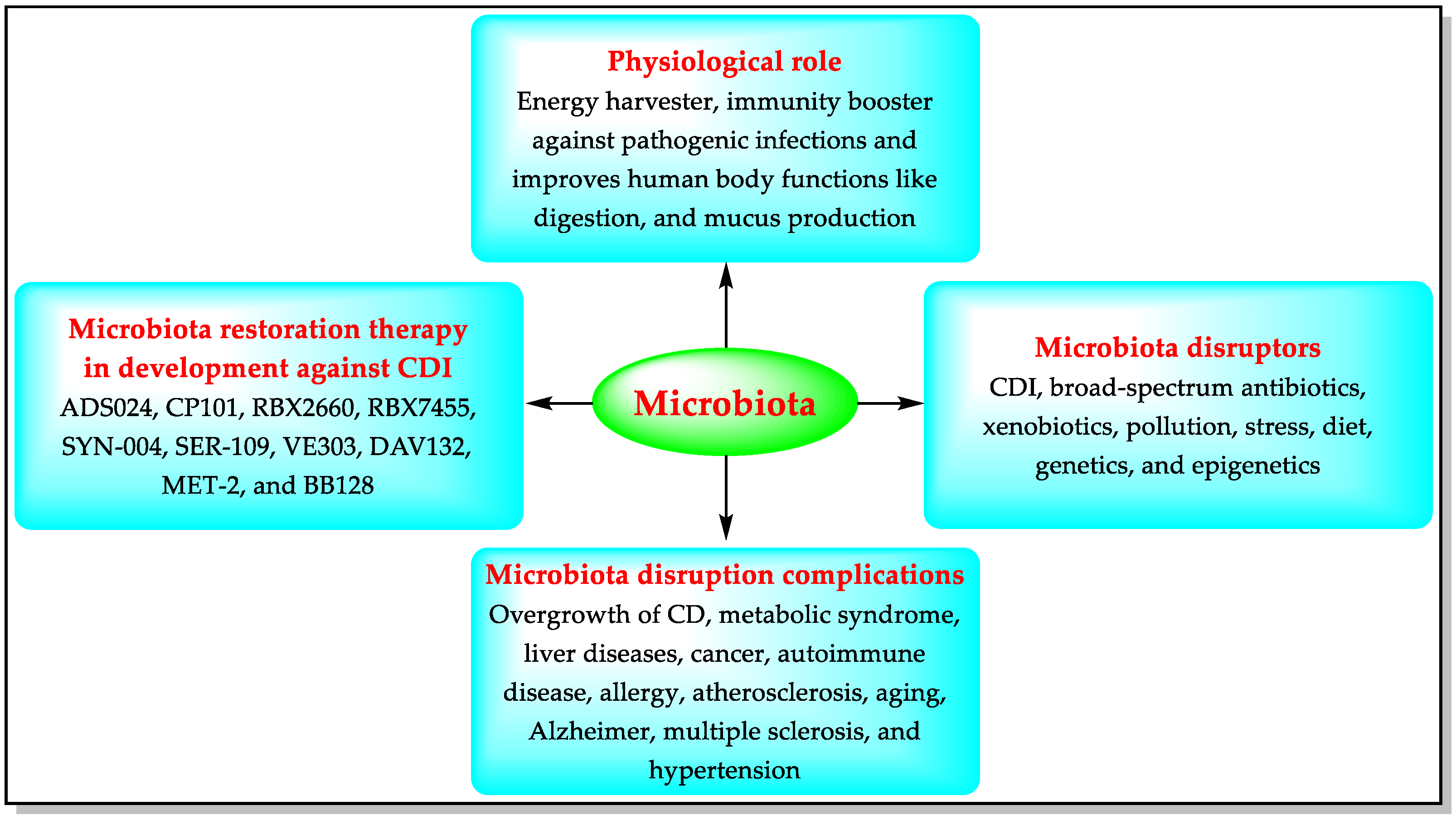 Biomedicines 11 00426 g002