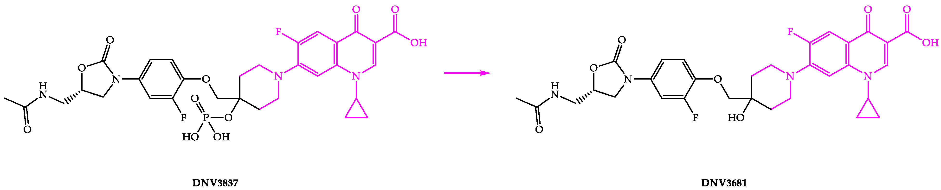 Biomedicines 11 00426 g007