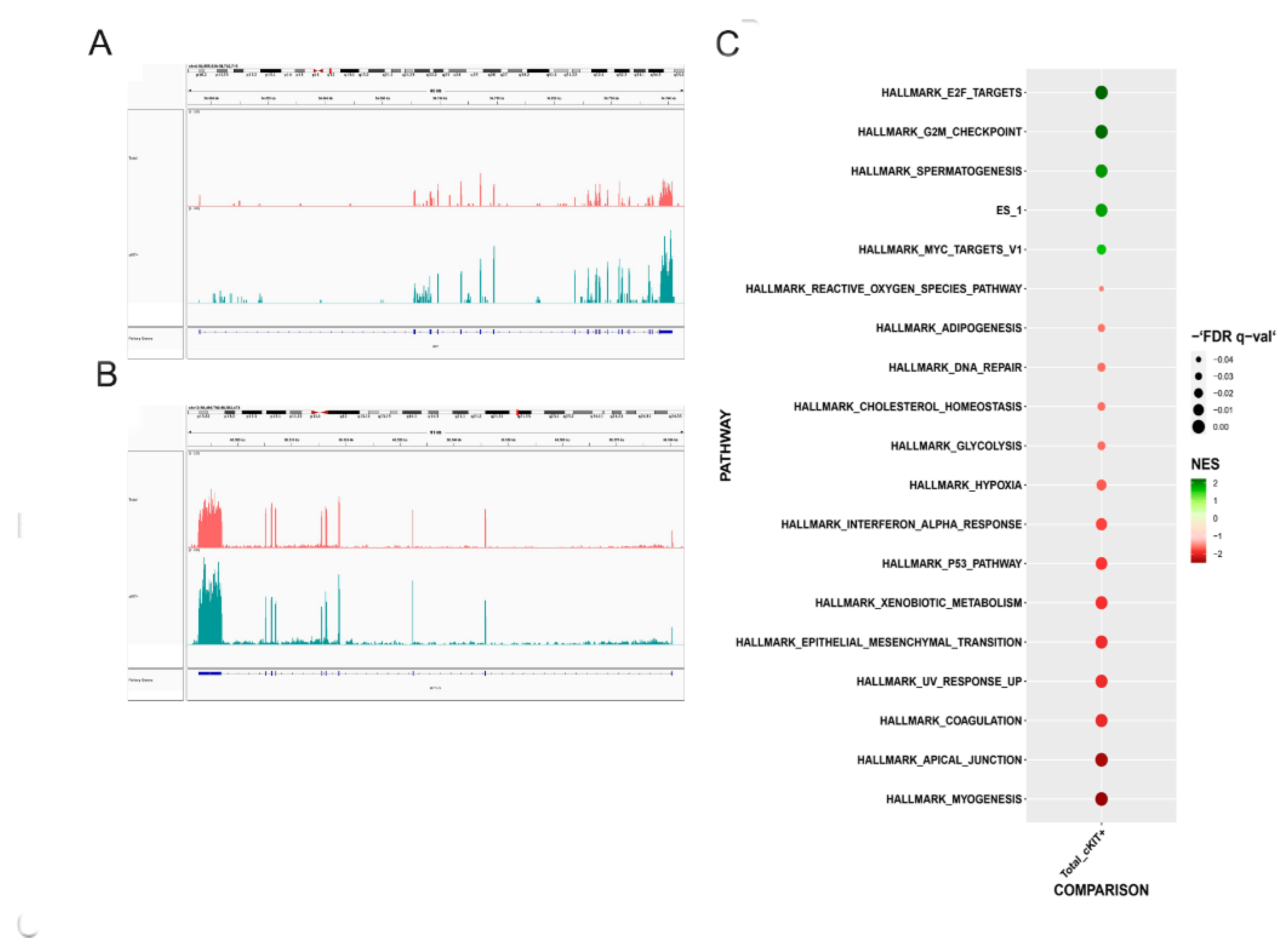 Biomedicines 11 00430 g001 Biomedicines 11 00430 g001