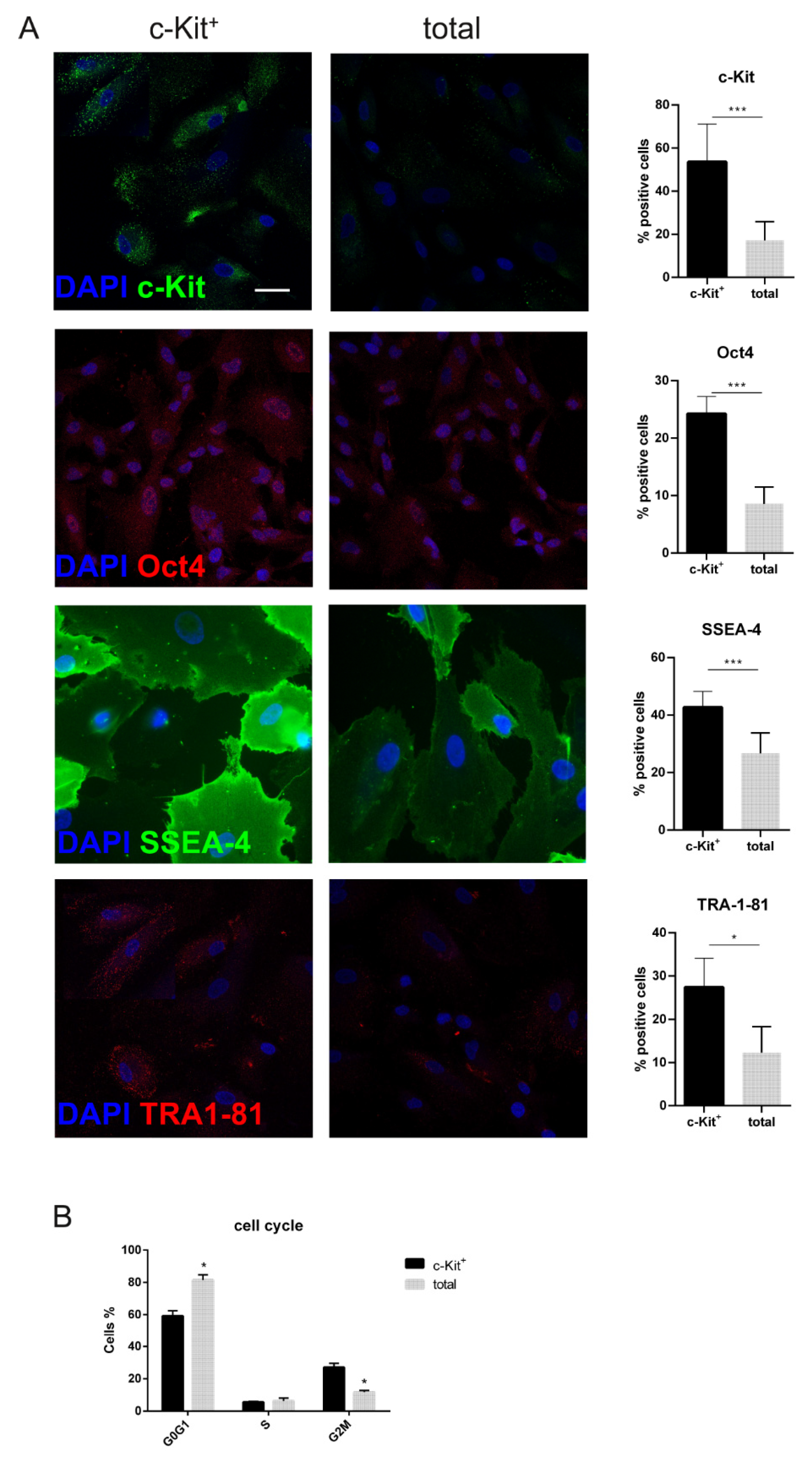 Biomedicines 11 00430 g003 Biomedicines 11 00430 g003
