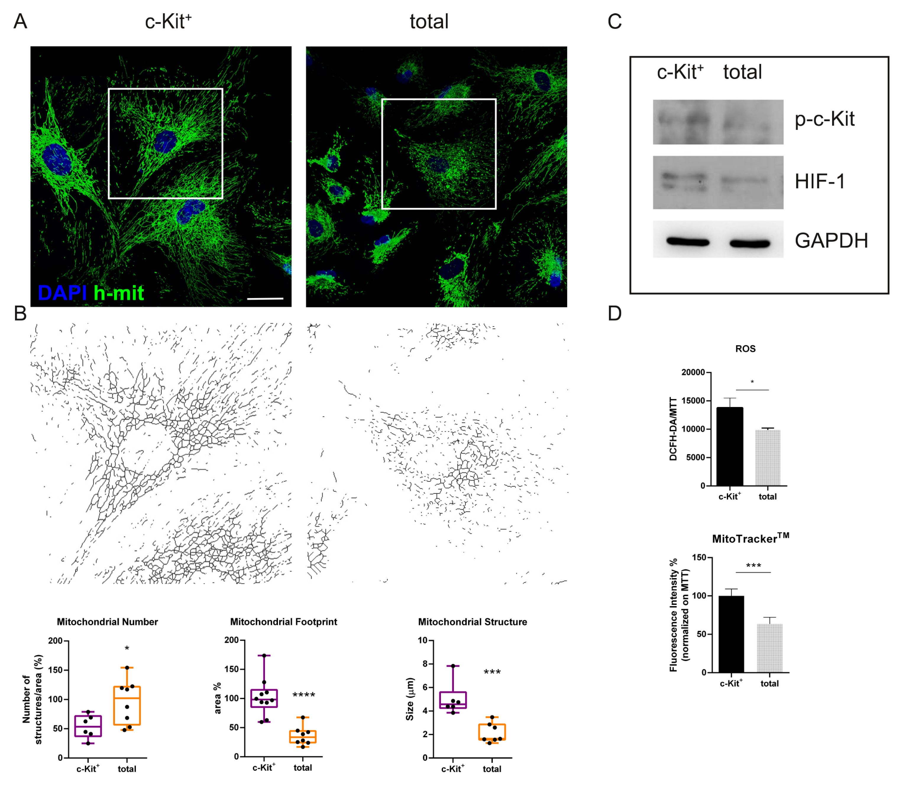 Biomedicines 11 00430 g004 Biomedicines 11 00430 g004