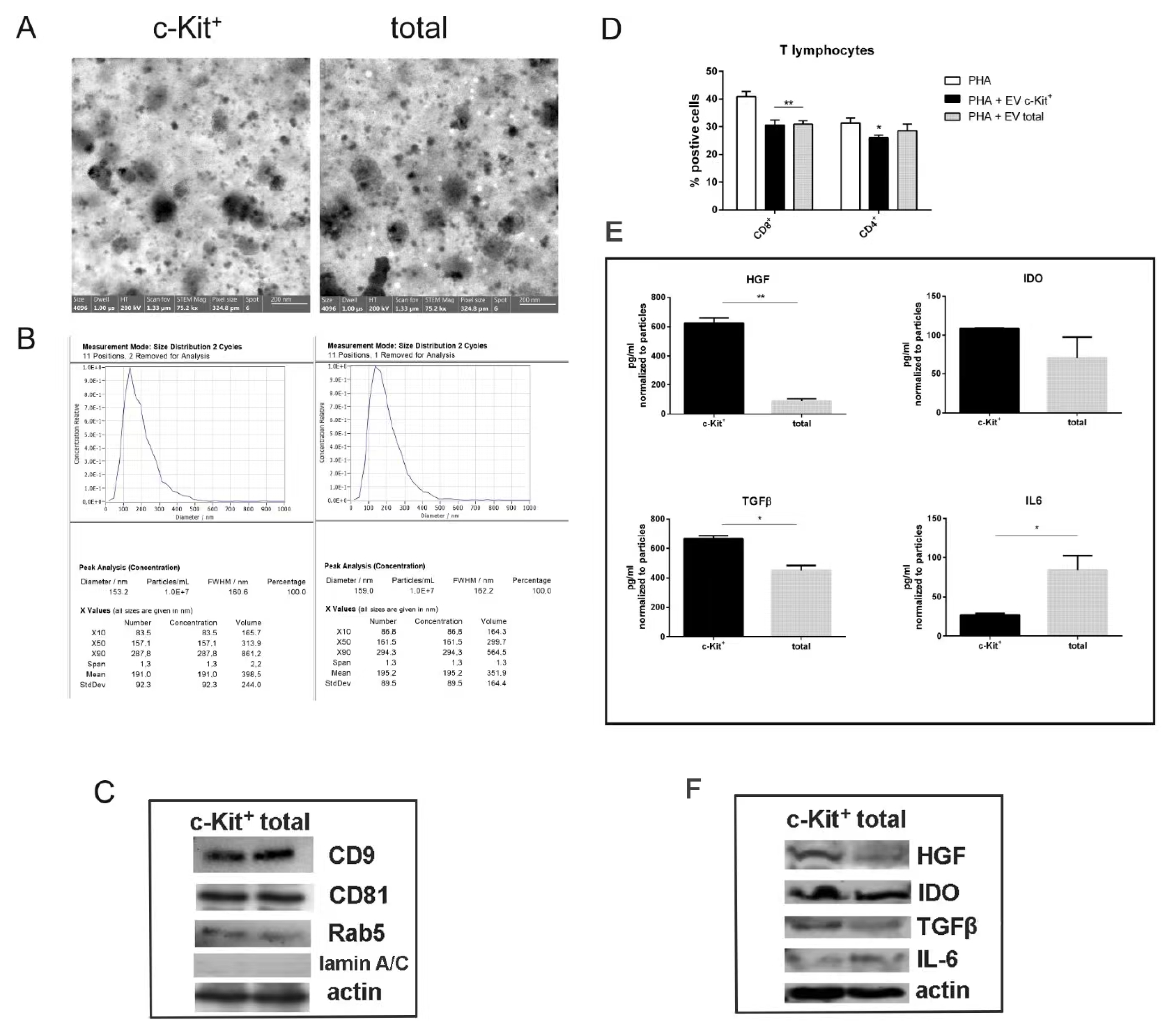 Biomedicines 11 00430 g005 Biomedicines 11 00430 g005
