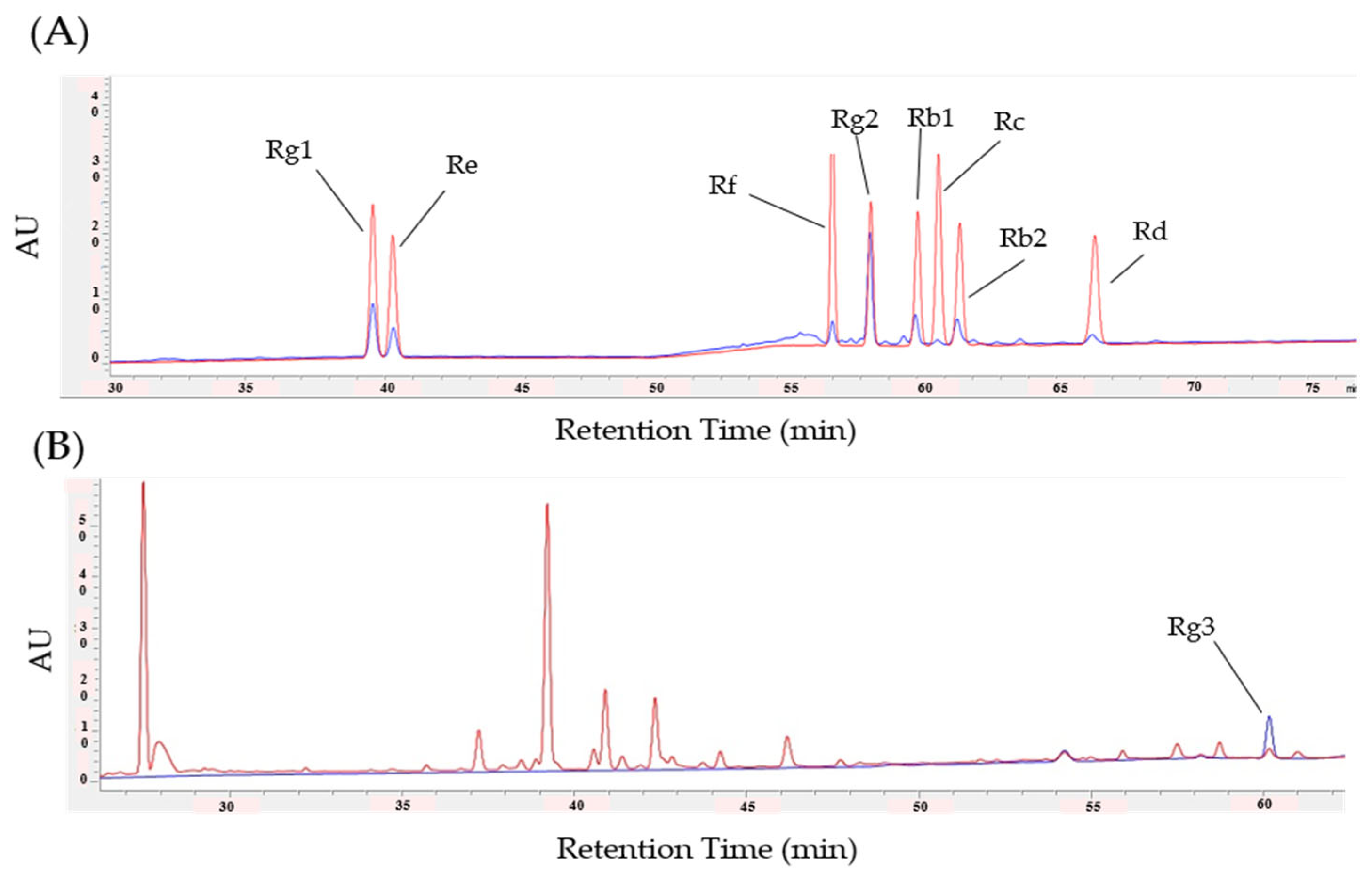 Biomedicines 11 00432 g004
