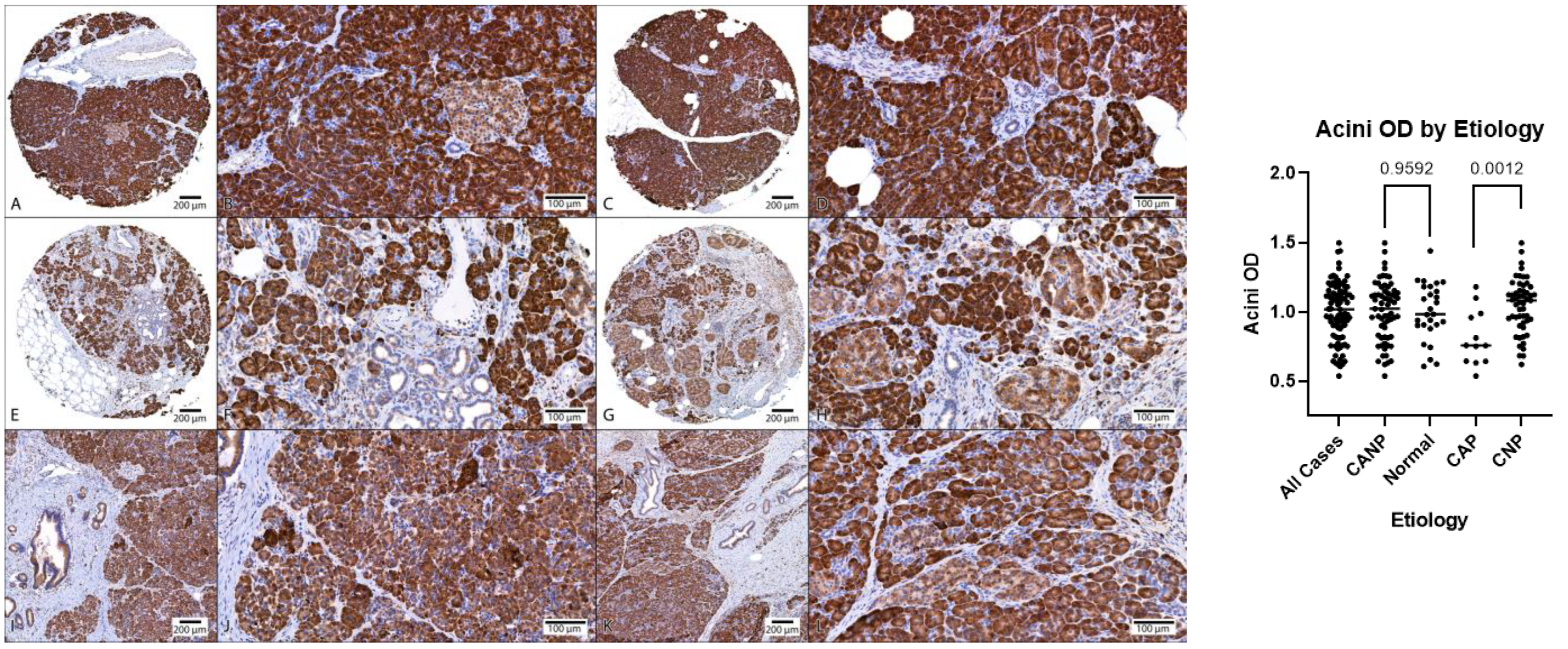 Biomedicines 11 00434 g003