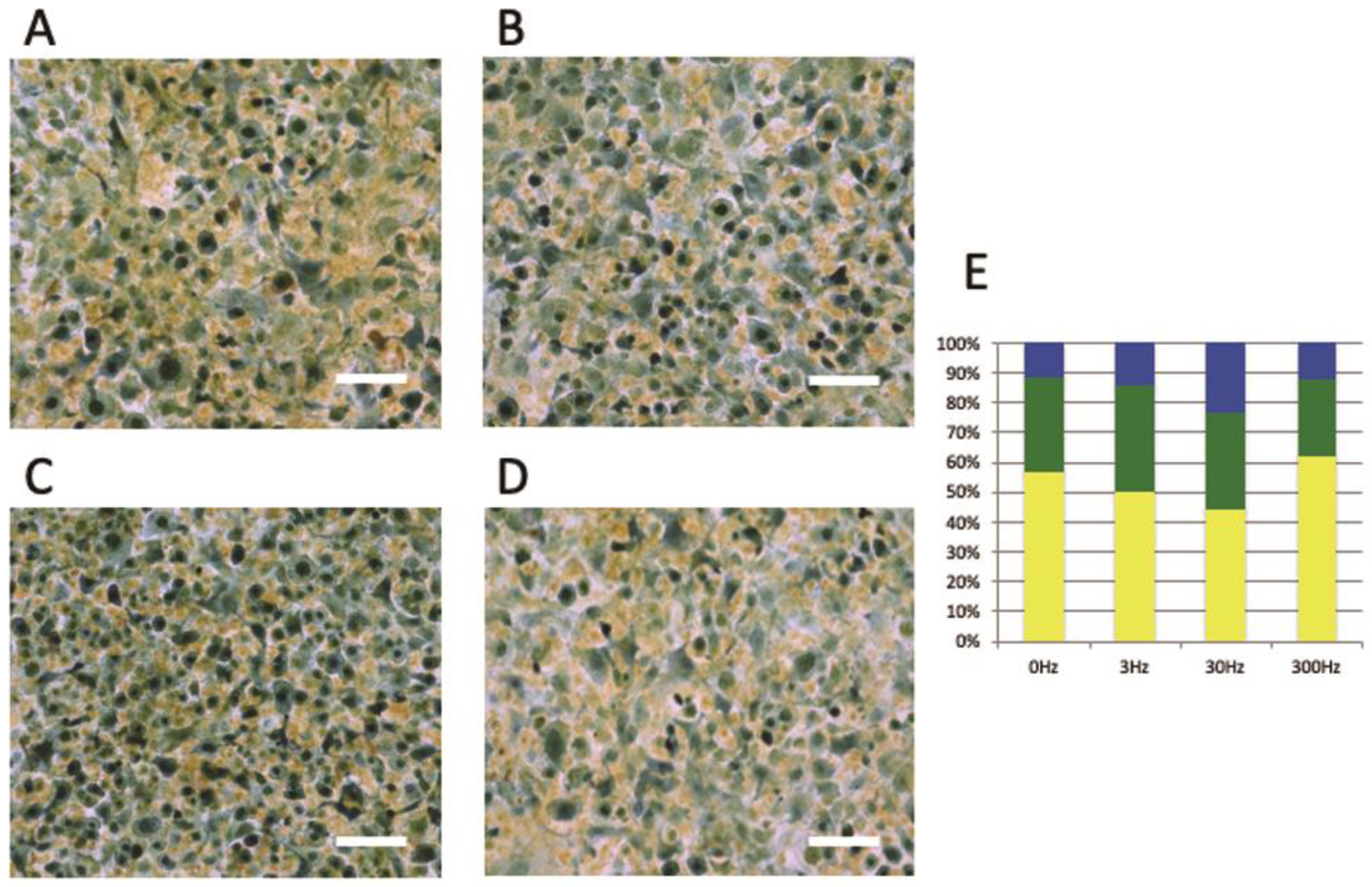 Biomedicines 11 00444 g003