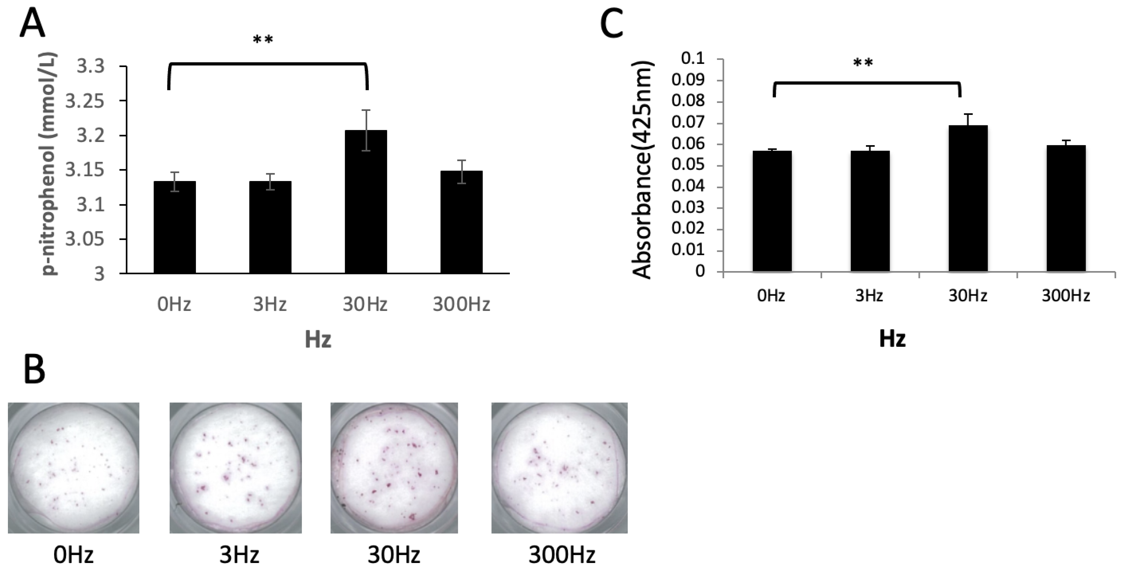 Biomedicines 11 00444 g004