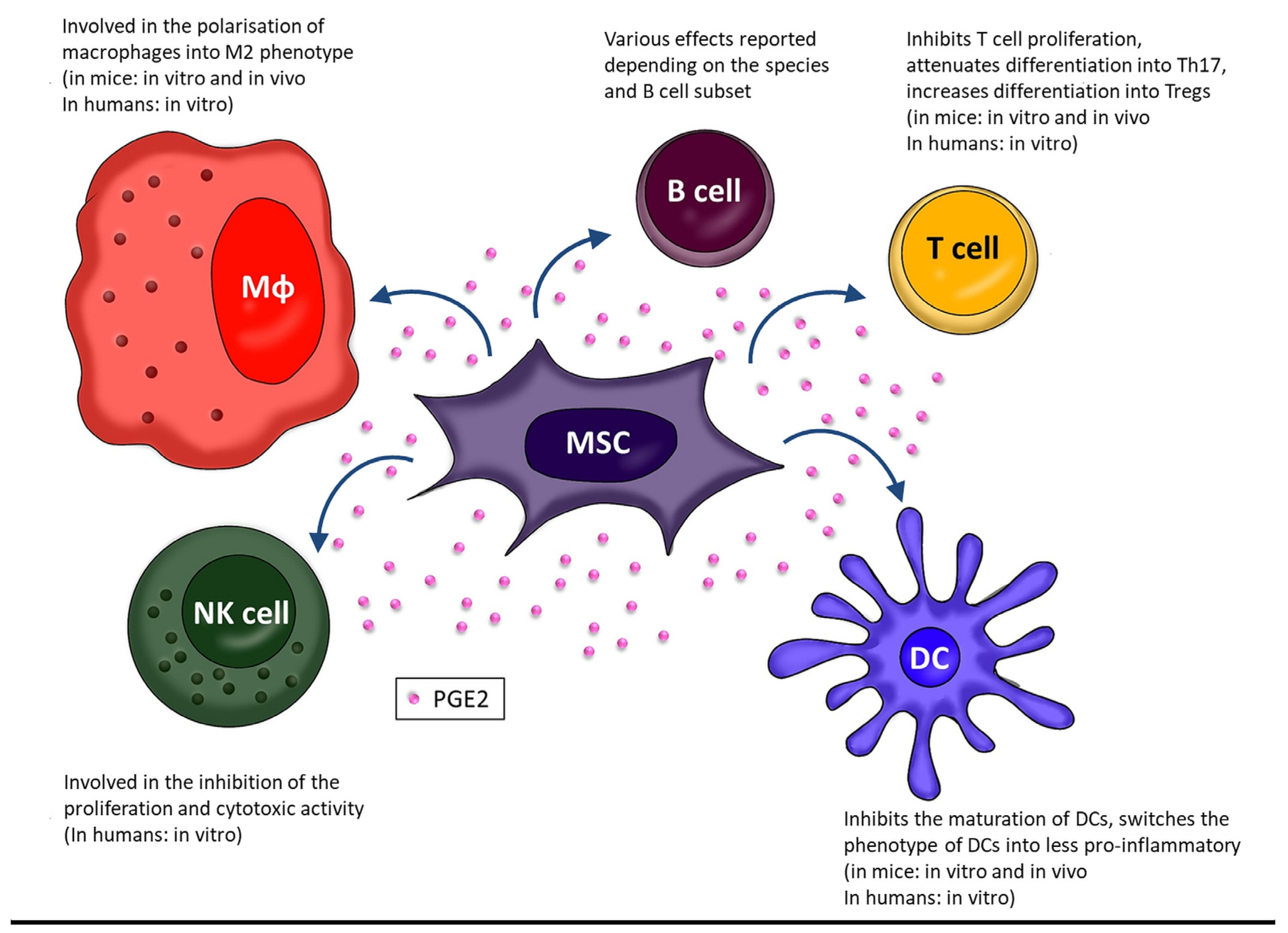 Biomedicines 11 00445 g002