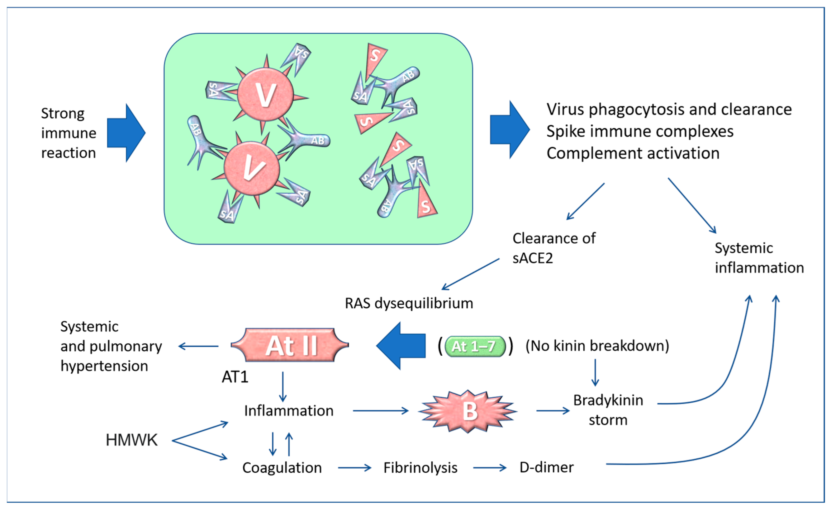 Biomedicines 11 00451 g004