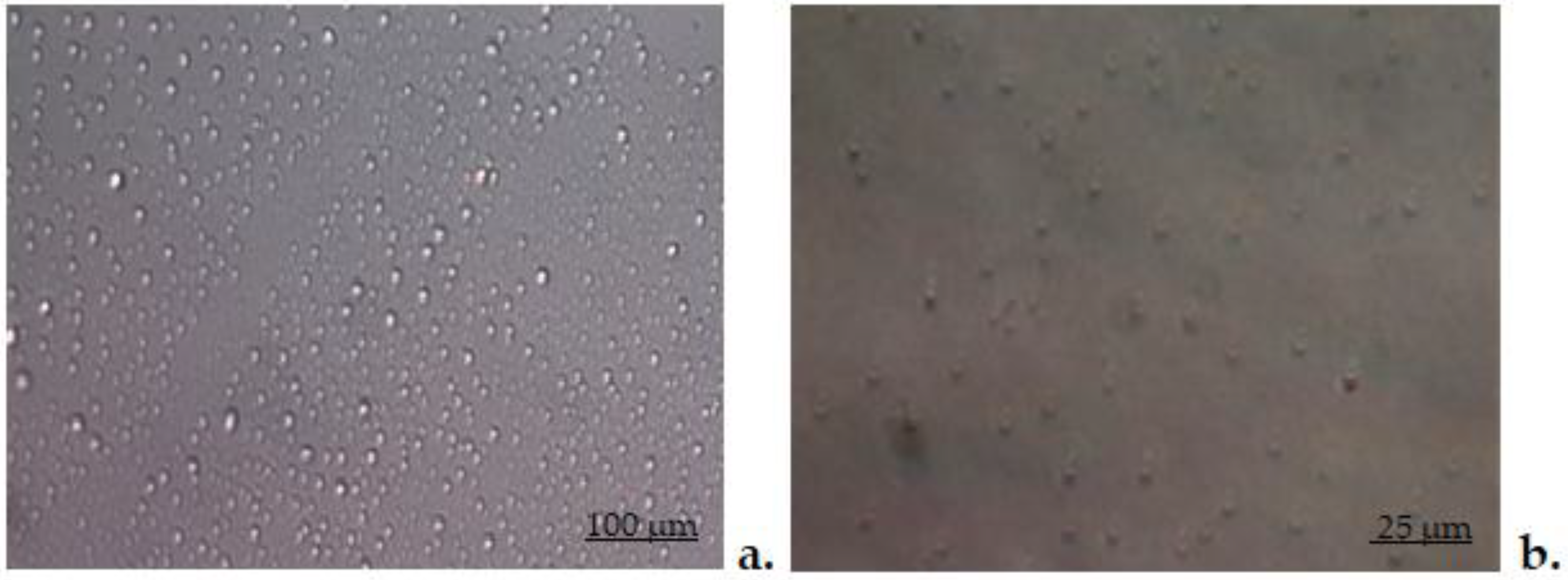 Biomedicines 11 00453 g002 Biomedicines 11 00453 g002