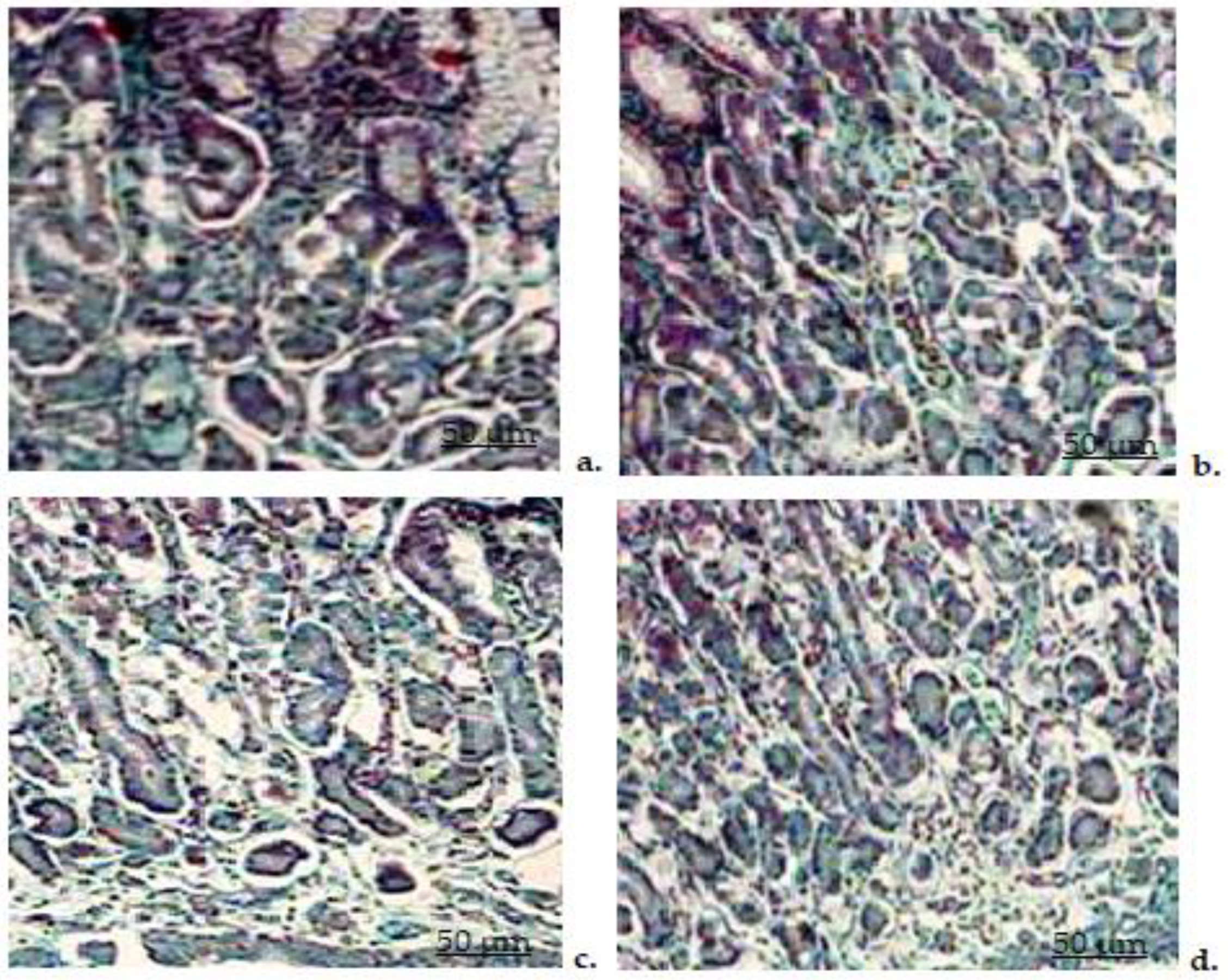 Biomedicines 11 00453 g011 Biomedicines 11 00453 g011