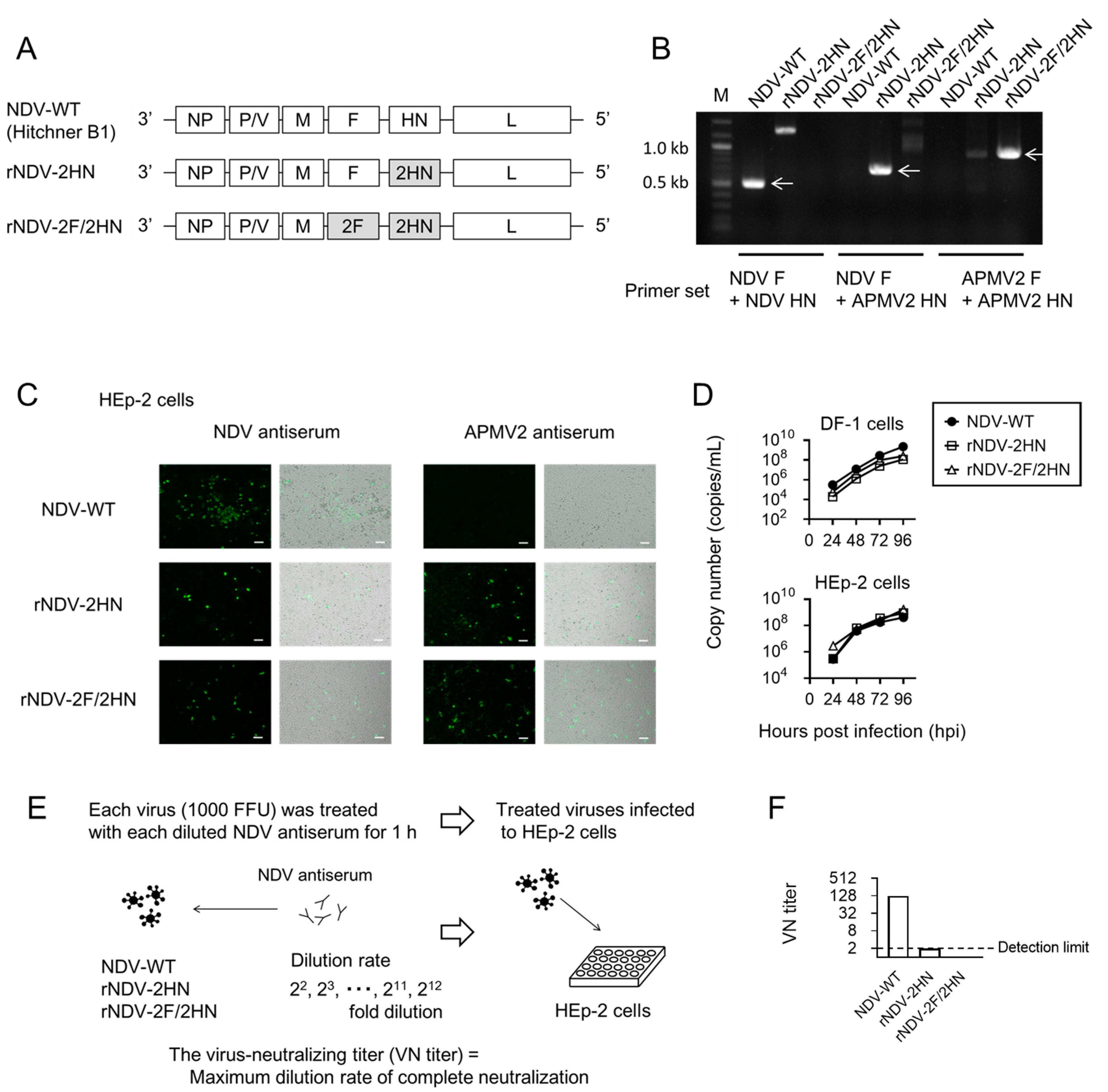 Biomedicines 11 00455 g001a Biomedicines 11 00455 g001a