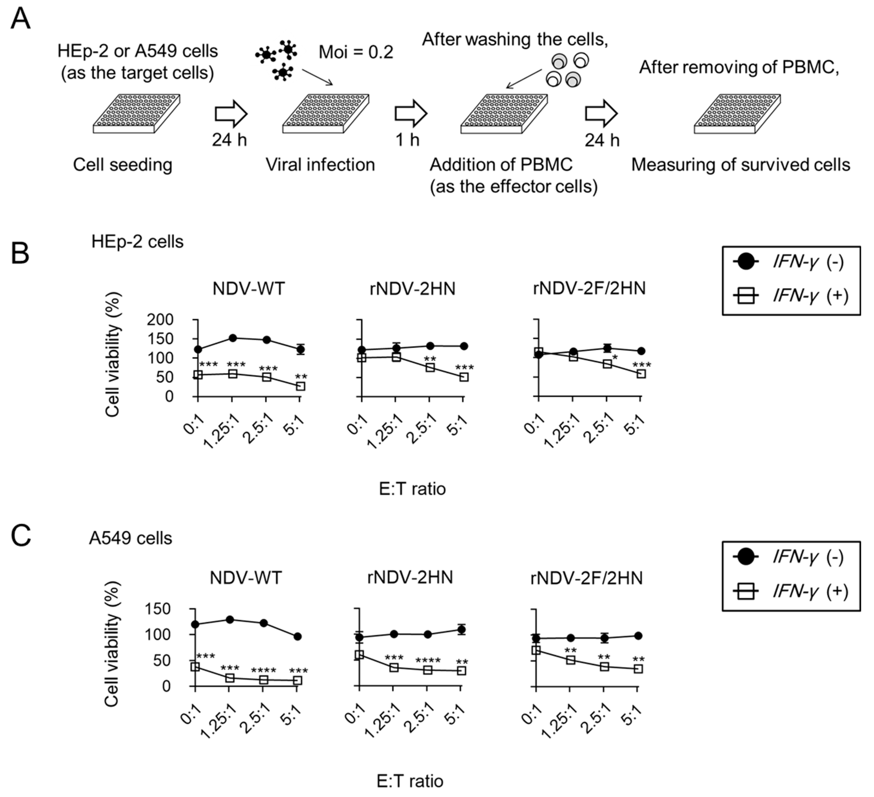 Biomedicines 11 00455 g004 Biomedicines 11 00455 g004