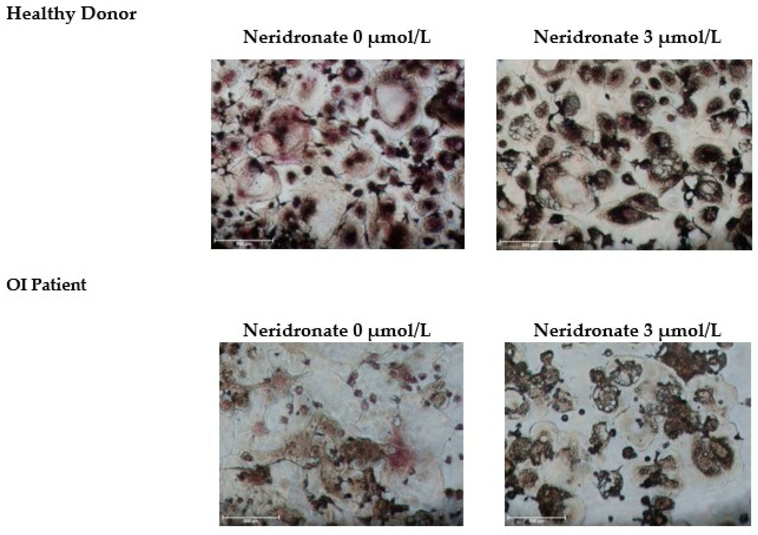 Biomedicines 11 00458 g002 Biomedicines 11 00458 g002