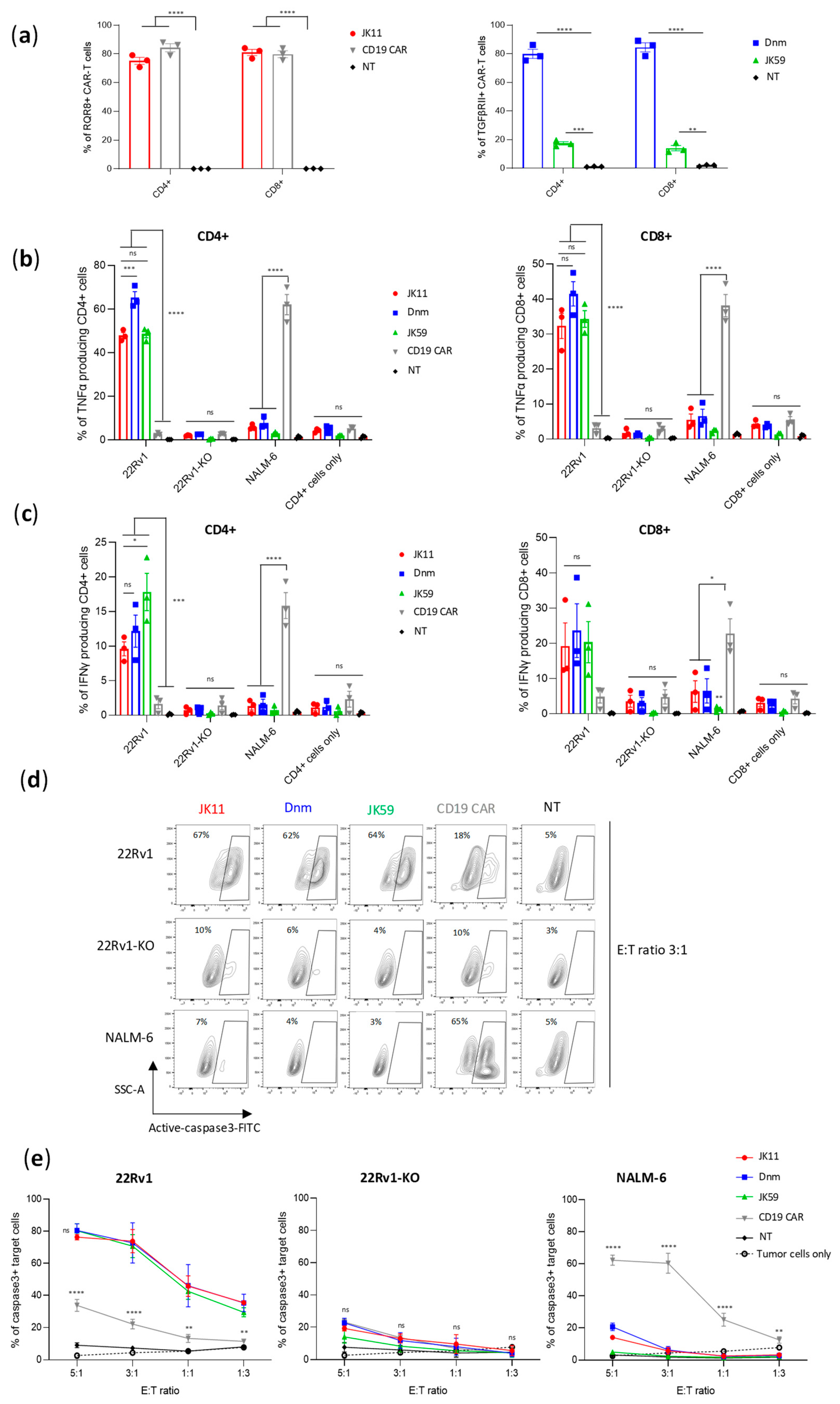 Biomedicines 11 00459 g002